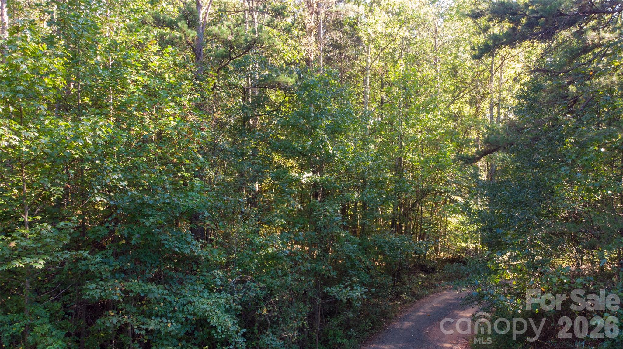 81 Meandering Lane Property Photo 21