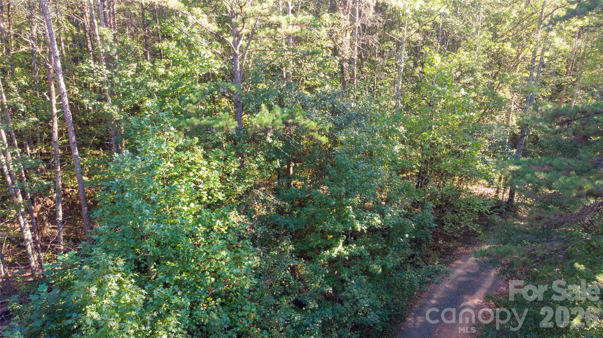 81 Meandering Lane Property Photo 22