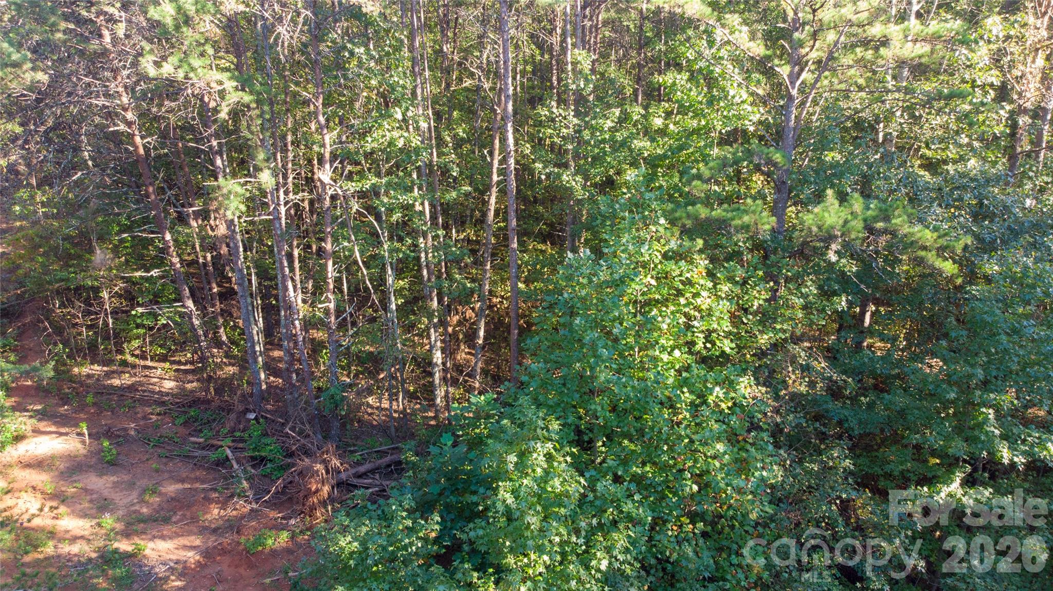 81 Meandering Lane Property Photo 23
