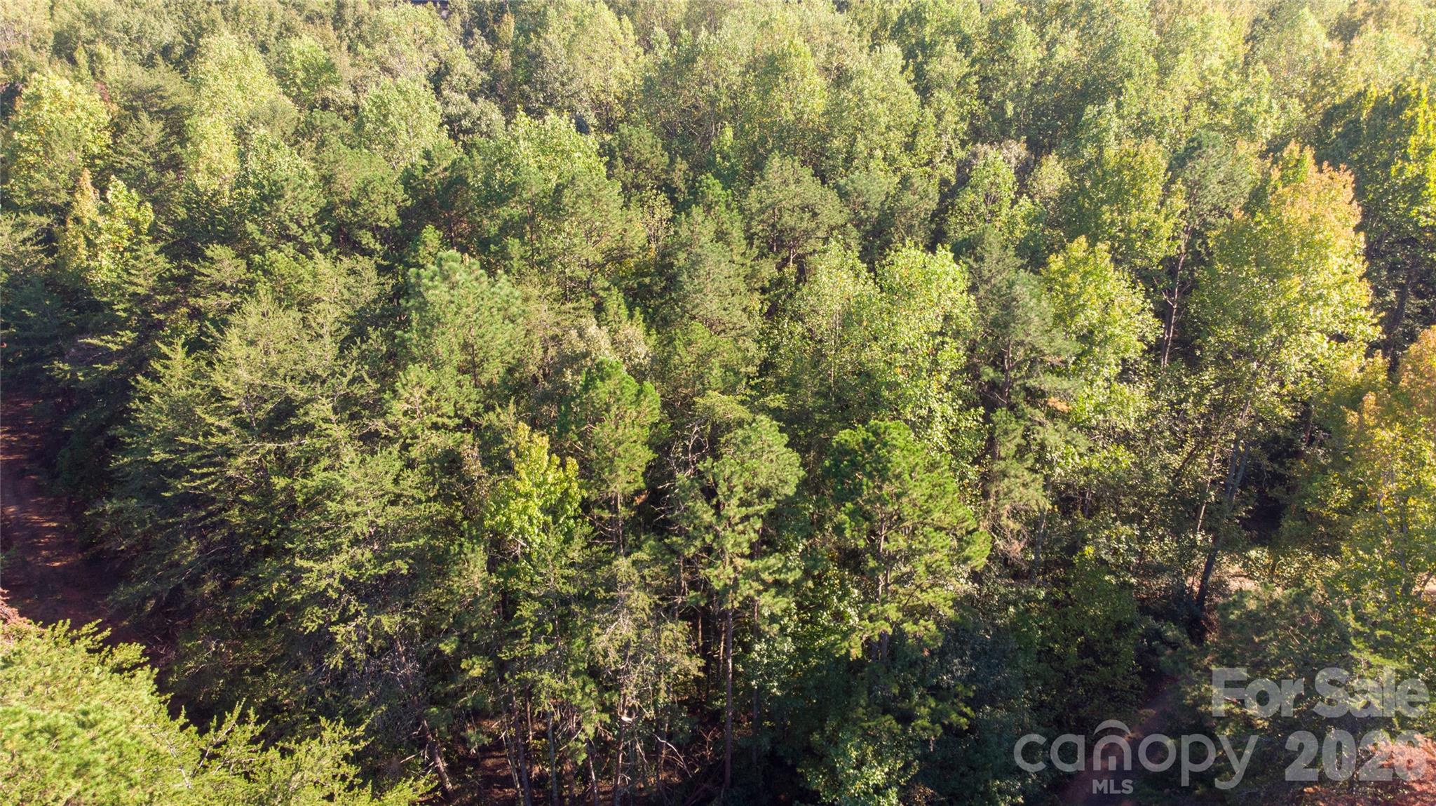 81 Meandering Lane Property Photo 25
