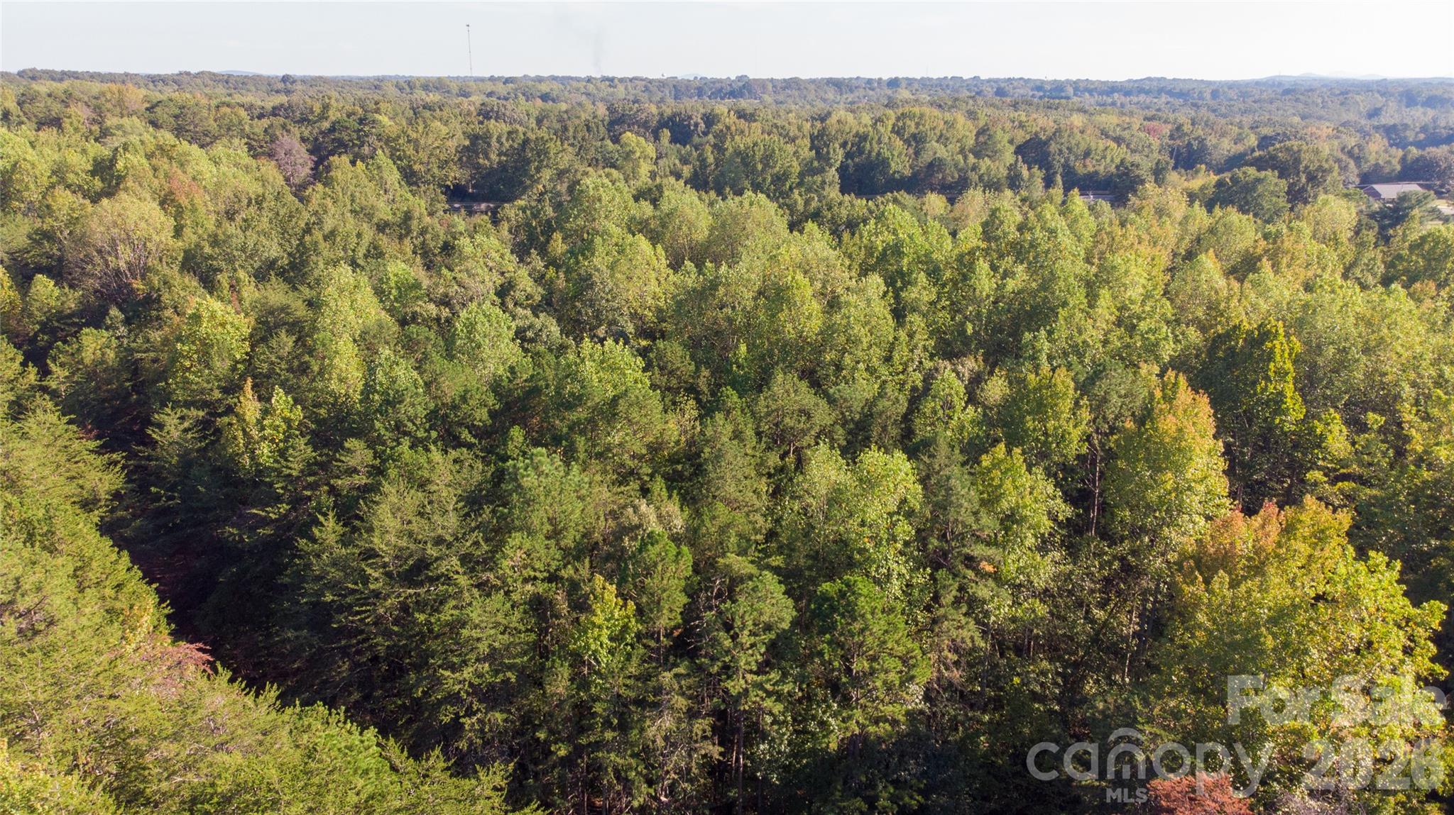81 Meandering Lane Property Photo 26