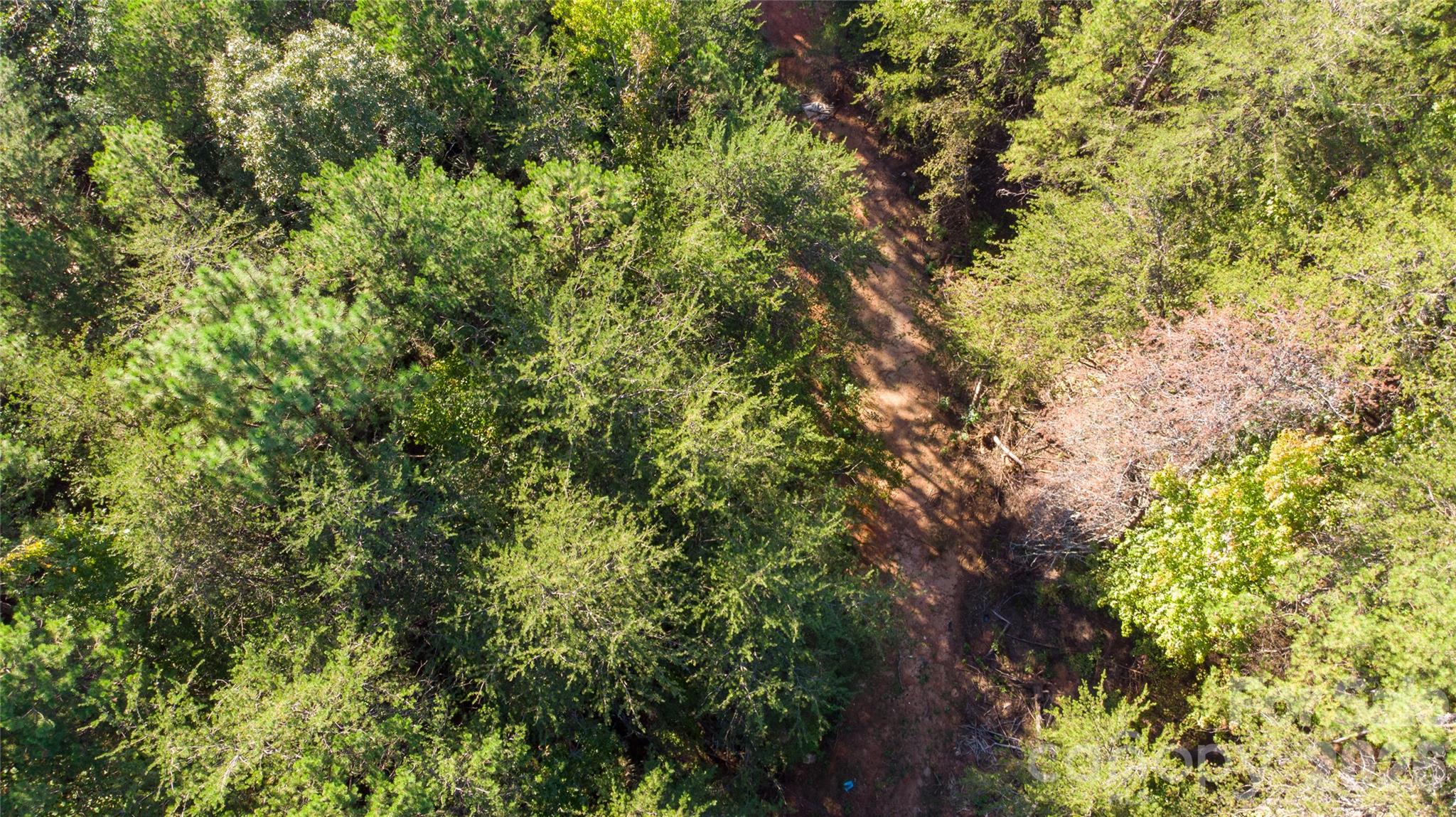 81 Meandering Lane Property Photo 27
