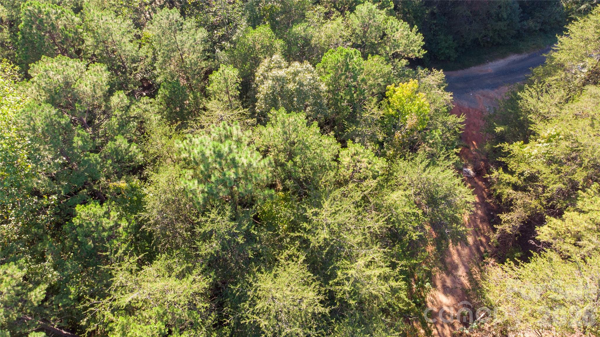 81 Meandering Lane Property Photo 28