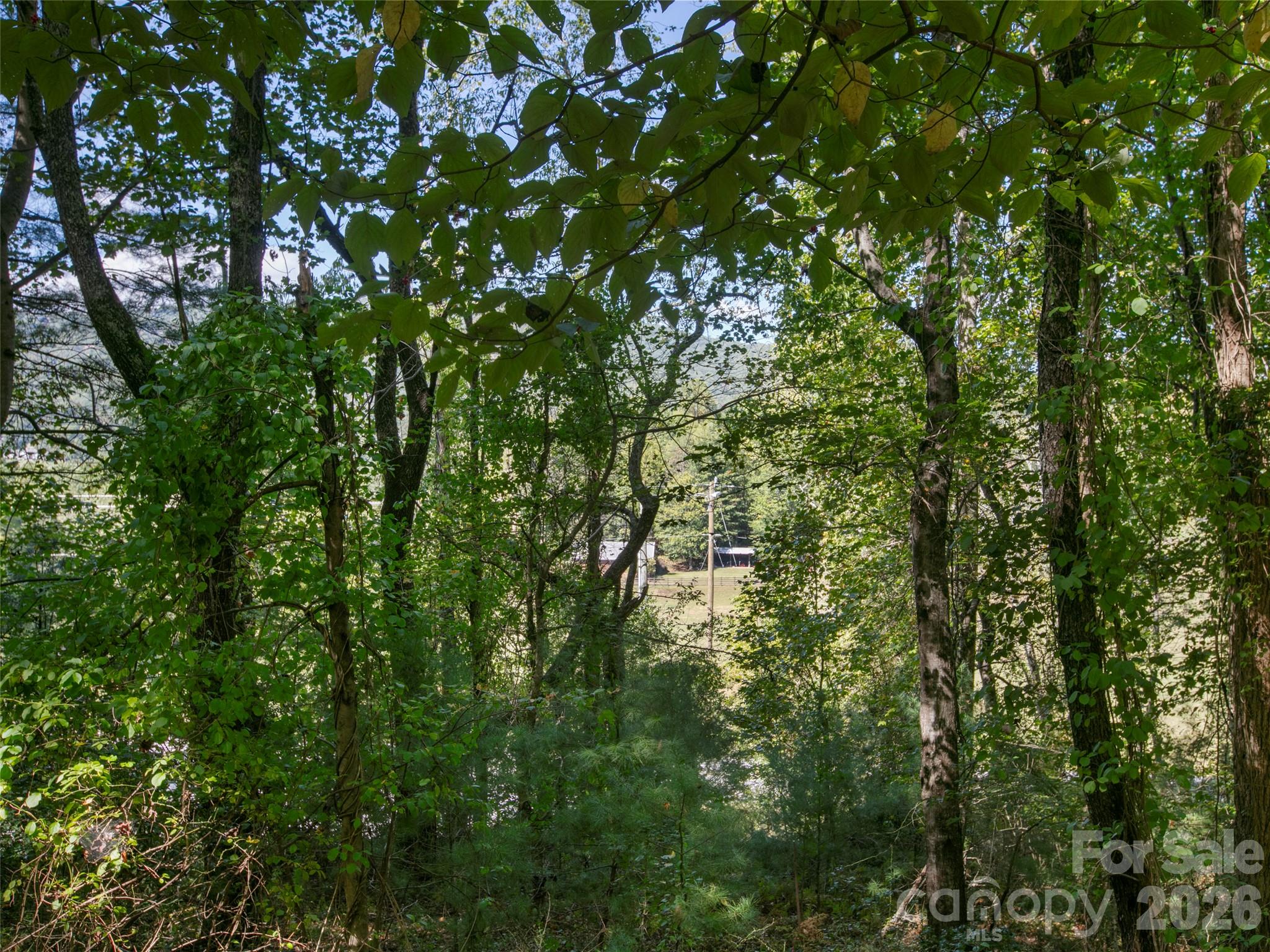 00 Holly Haven Court 1 Property Photo 10