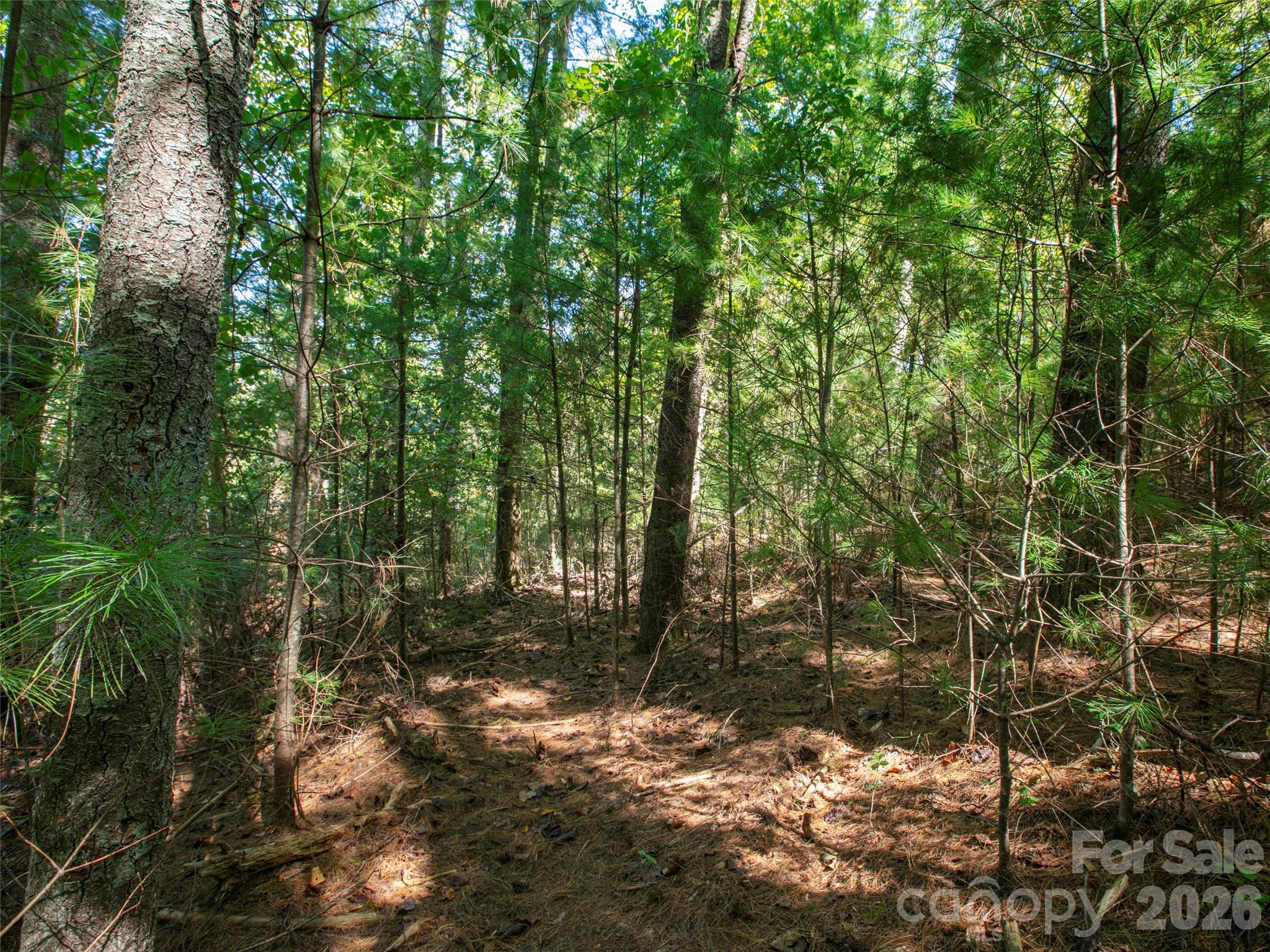 00 Holly Haven Court 1 Property Photo 11