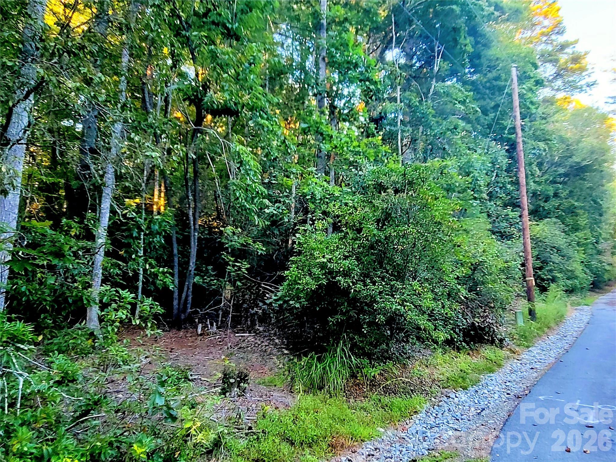 0 Joyful Lane Property Photo 8