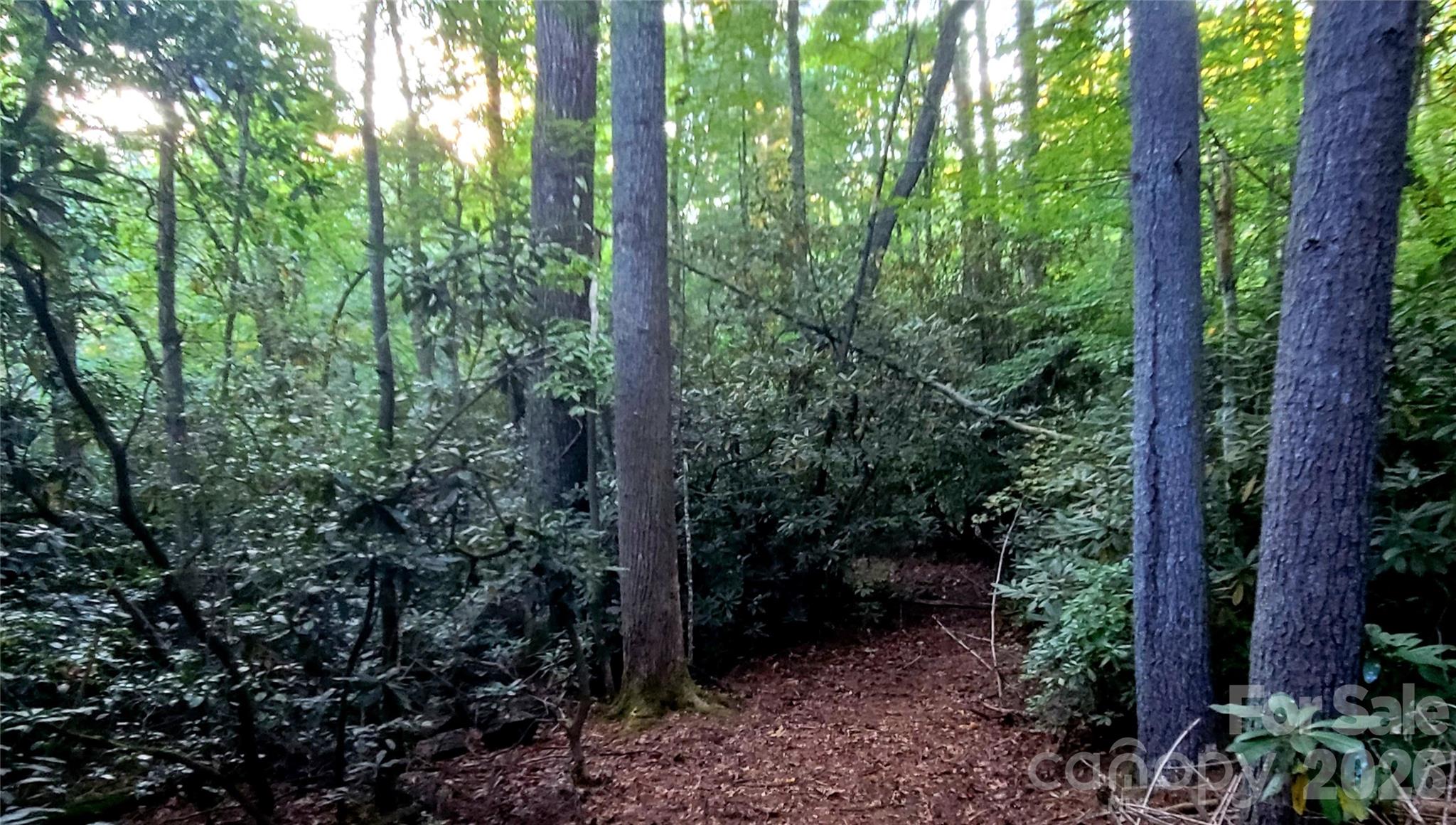 0 Joyful Lane Property Photo 10