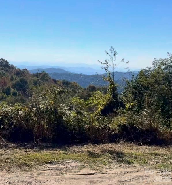 2 Ridge Top Loop Property Photo 2