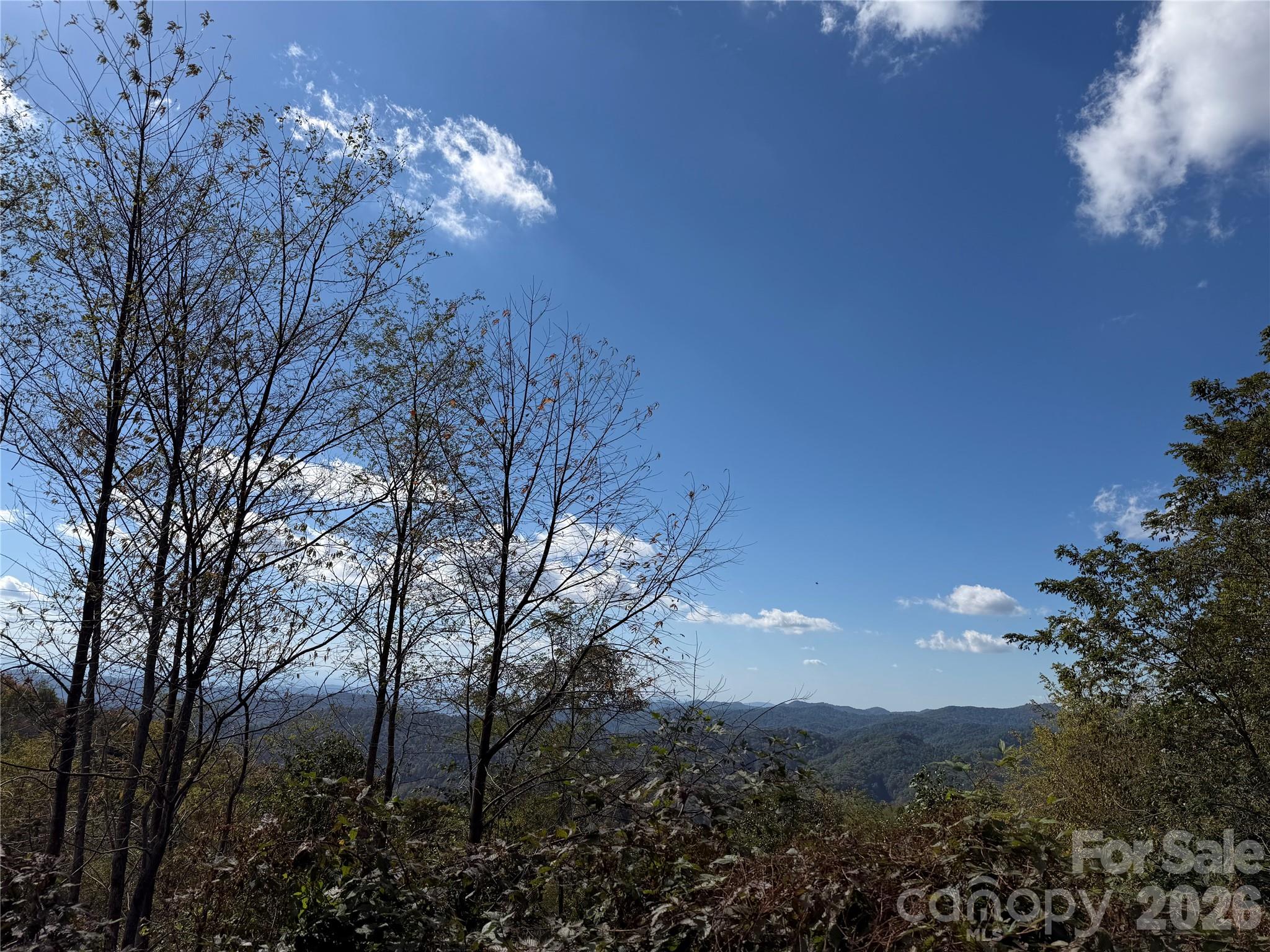 2 Ridge Top Loop Property Photo 5