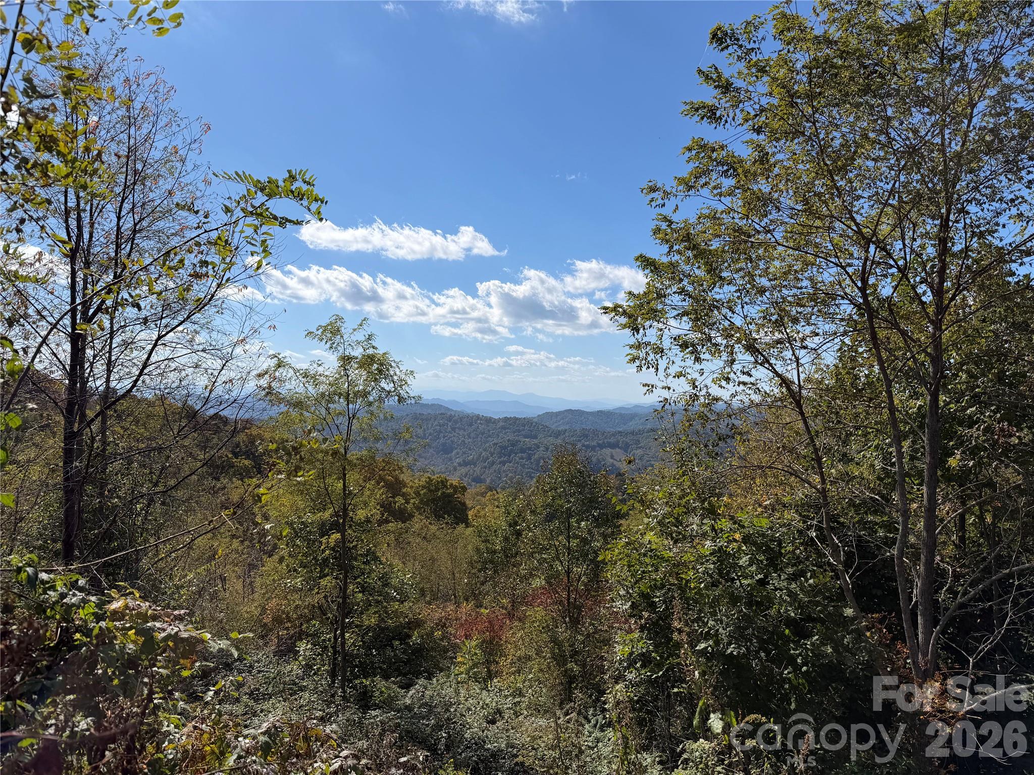 2 Ridge Top Loop Property Photo 6