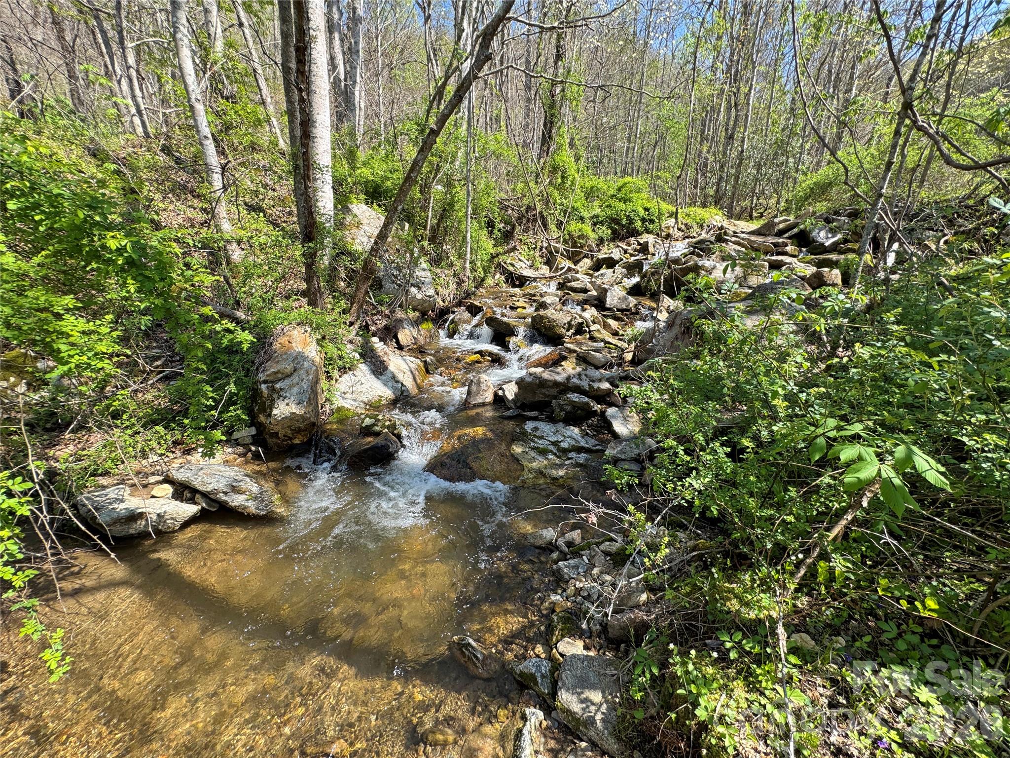 Tbd Baltimore Branch Road Property Photo 3