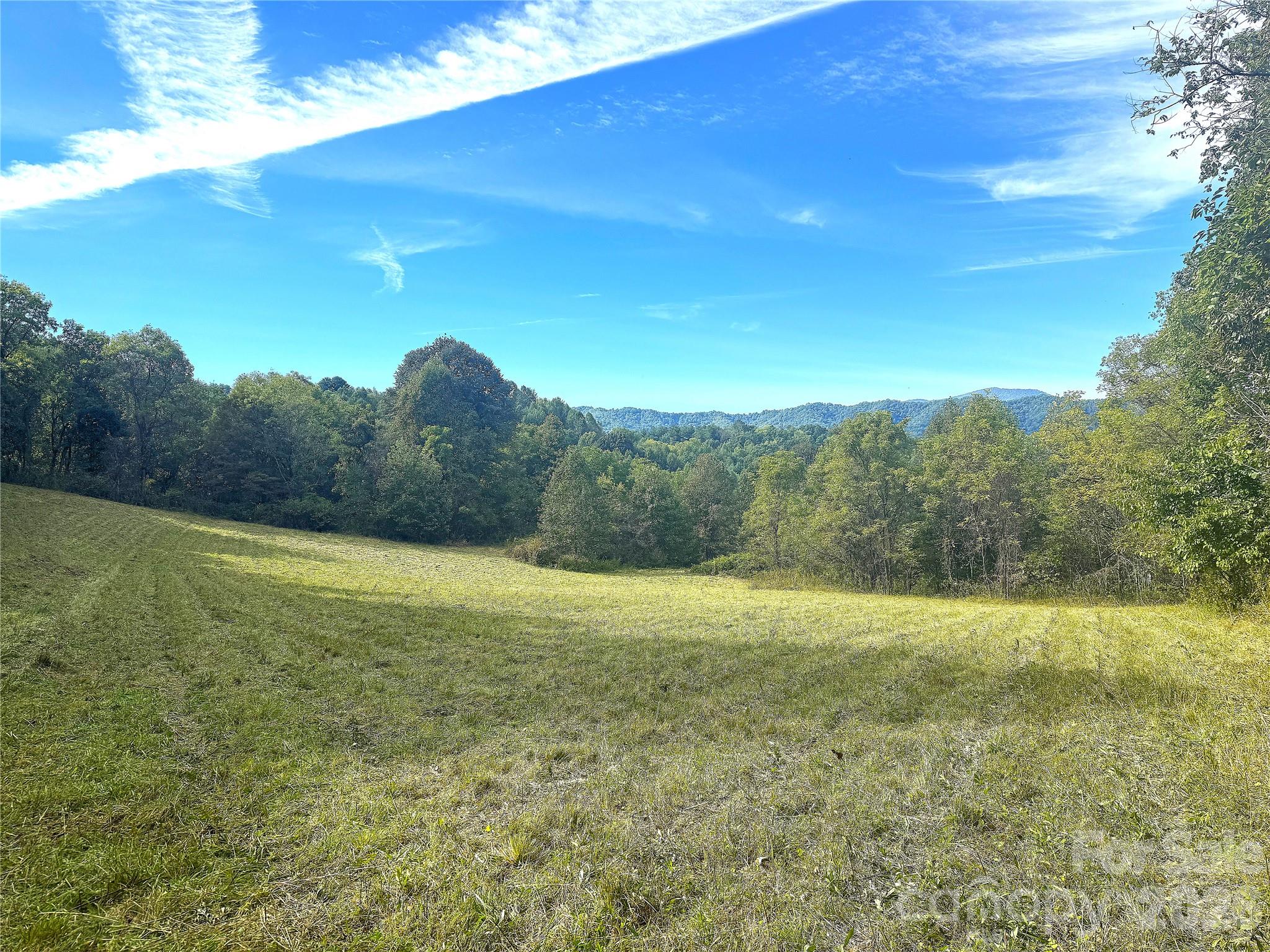 Tbd Baltimore Branch Road Property Photo 4