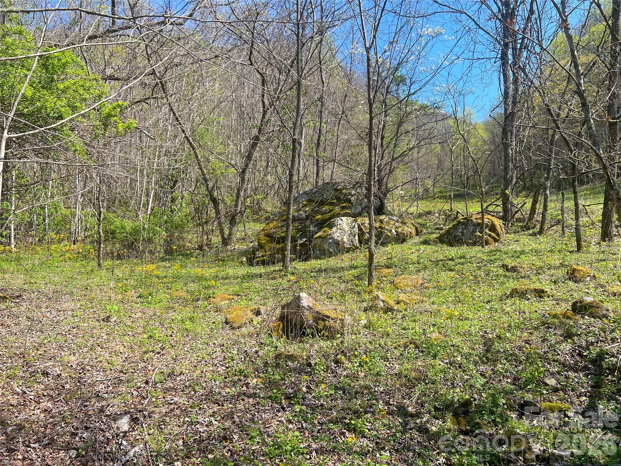 Tbd Baltimore Branch Road Property Photo 7