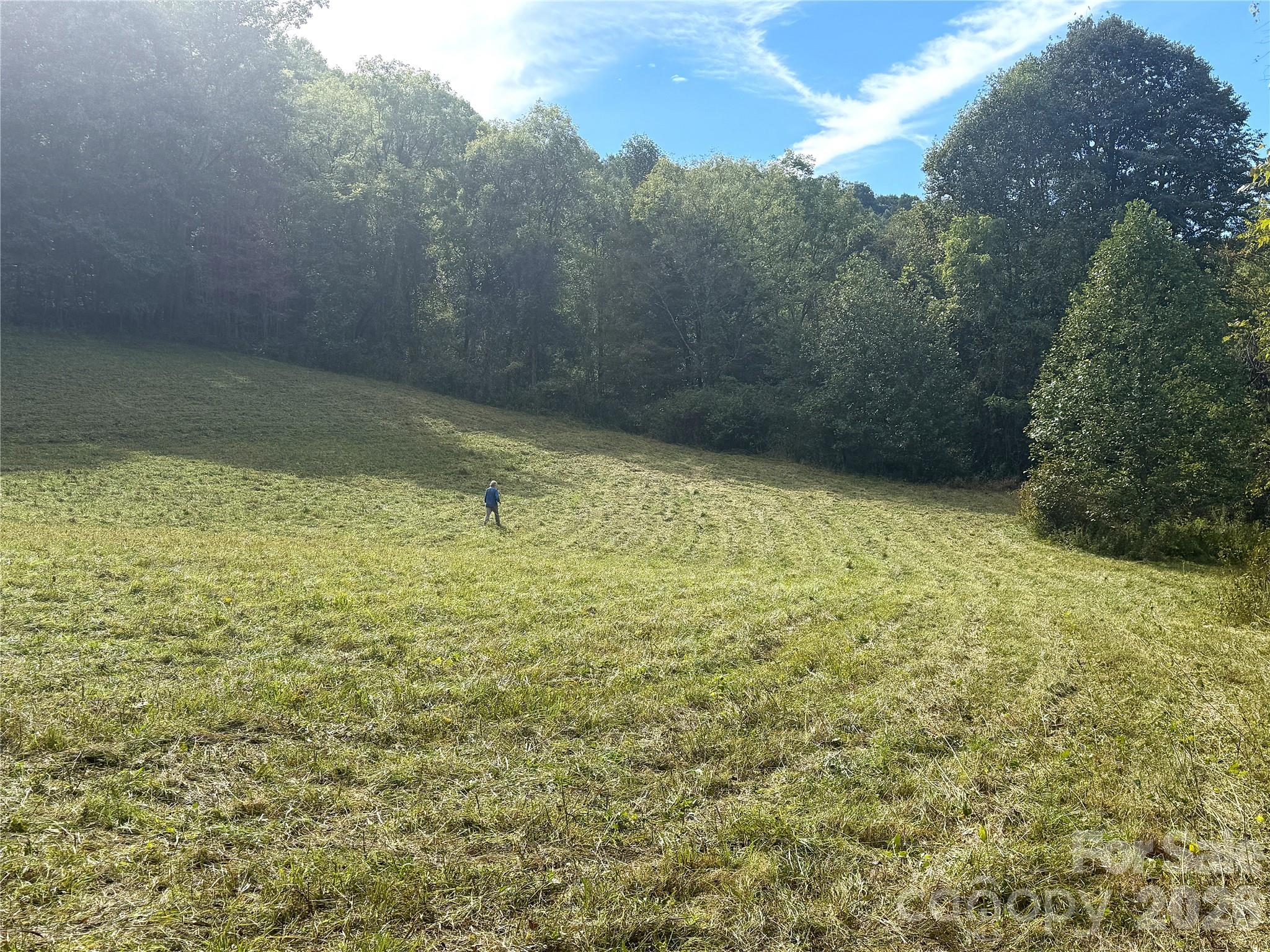 Tbd Baltimore Branch Road Property Photo 10