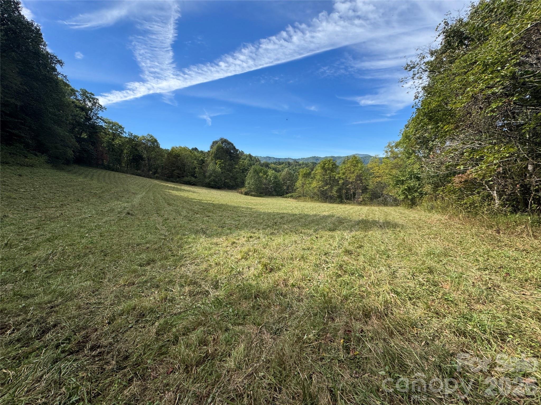 Tbd Baltimore Branch Road Property Photo 12