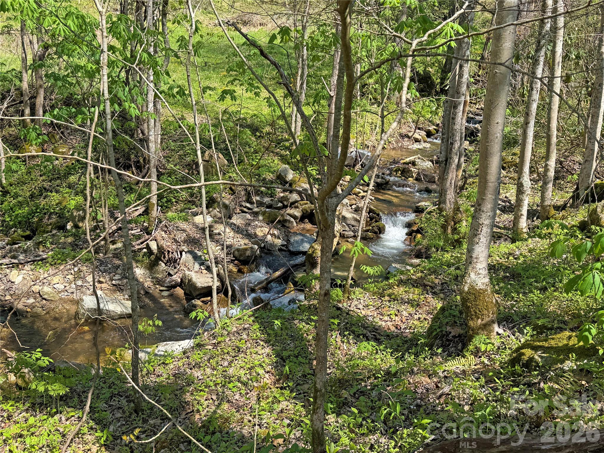 Tbd Baltimore Branch Road Property Photo 15
