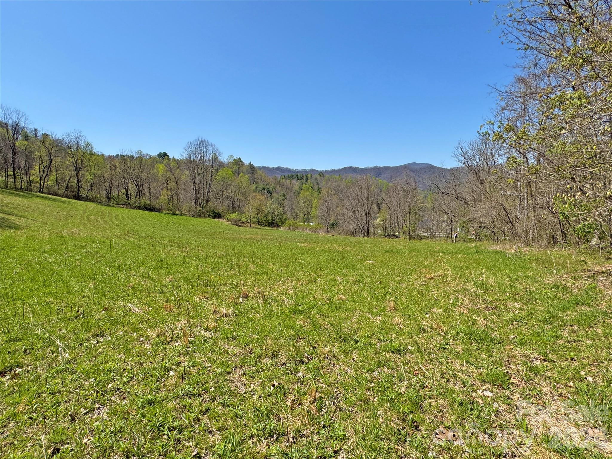 Tbd Baltimore Branch Road Property Photo 16
