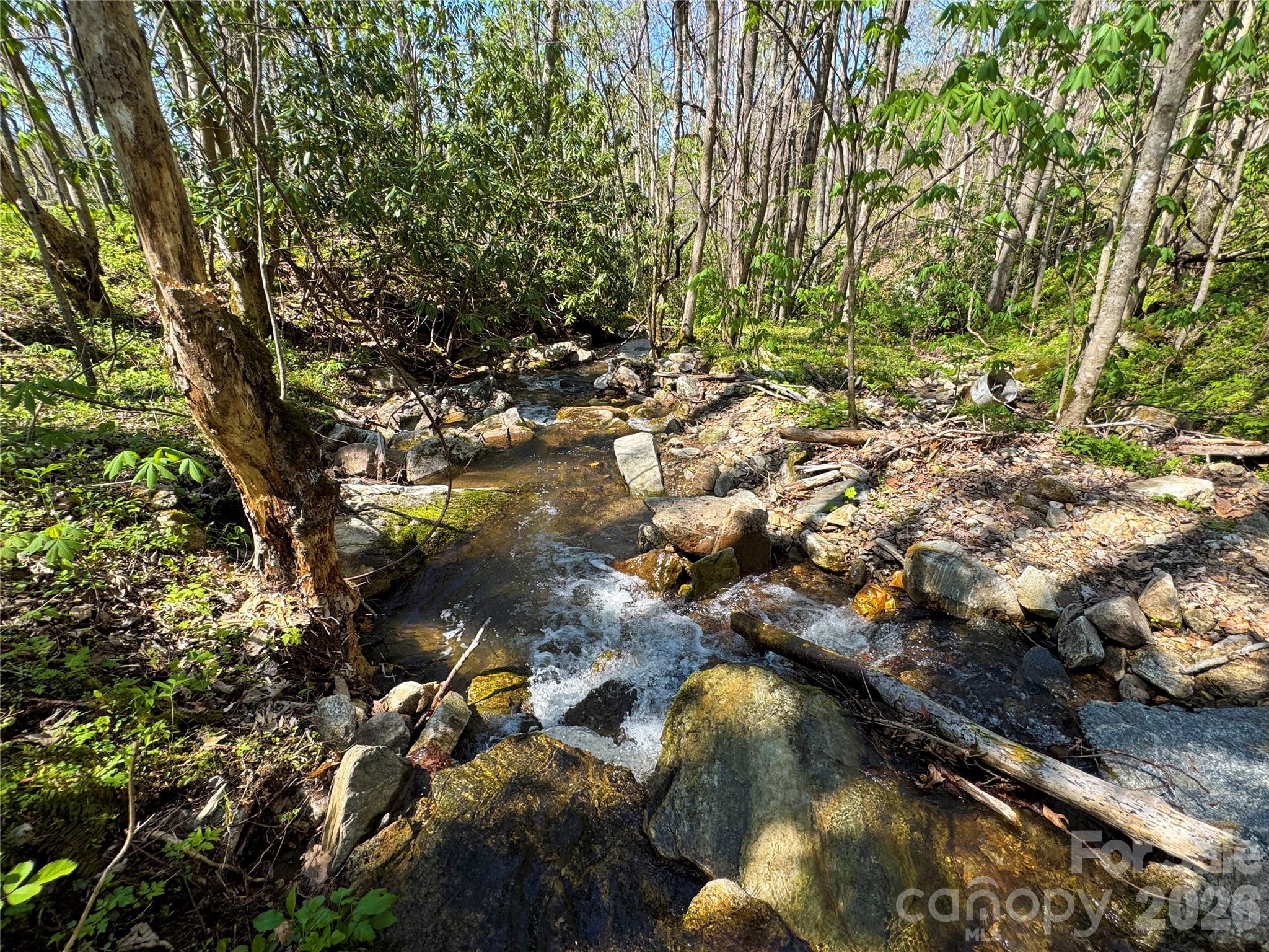 Tbd Baltimore Branch Road Property Photo 18