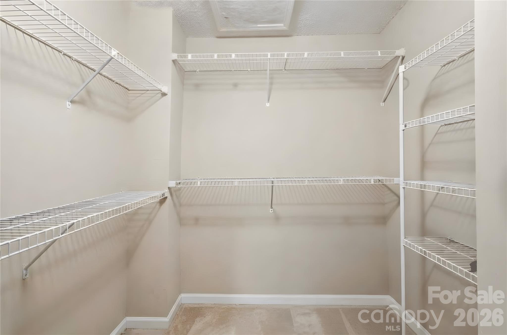 7541 Sparkleberry Drive Property Photo 18