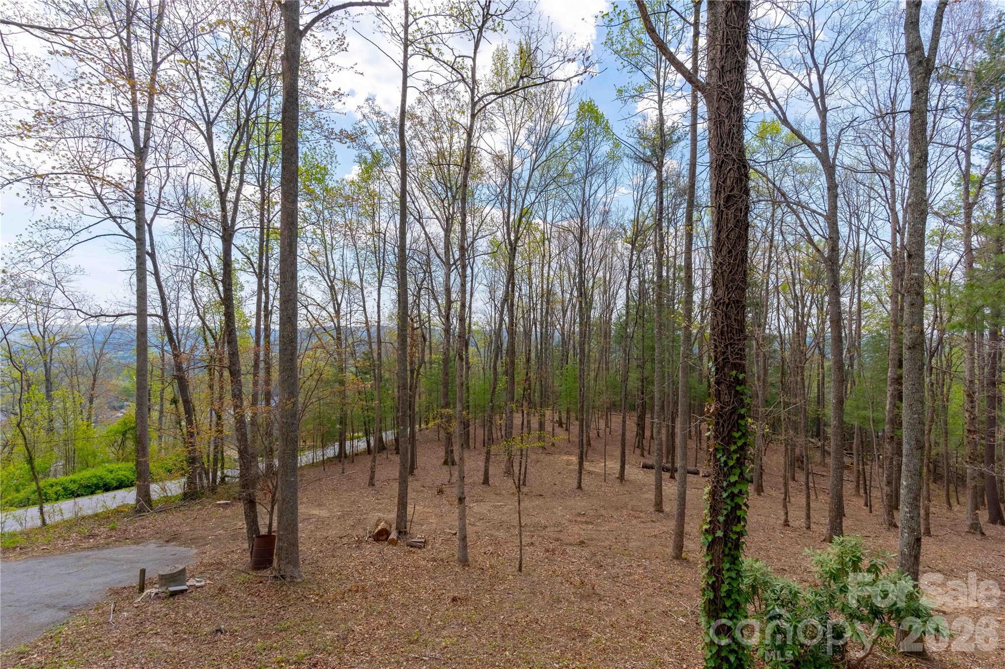 39 Tatham Road Property Photo 5