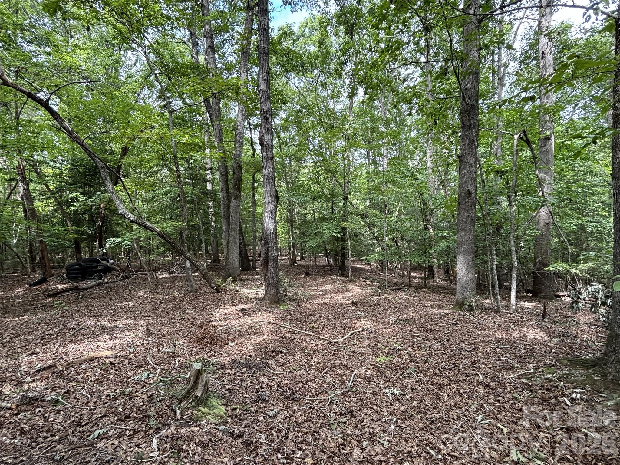 236 Sugar Loaf Road Property Photo 1