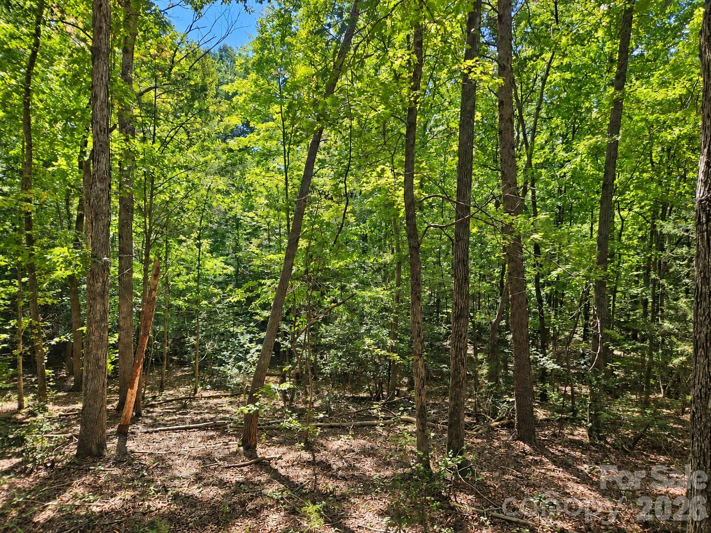 236 Sugar Loaf Road Property Photo 1