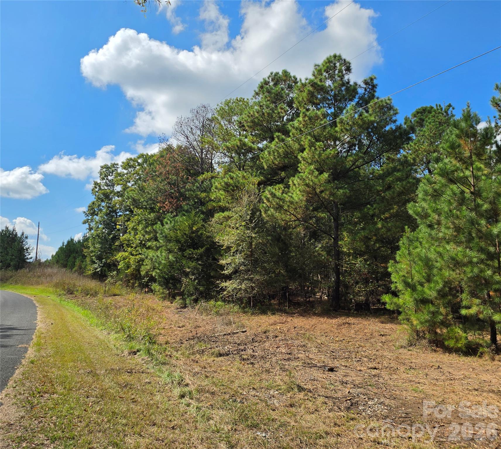 1350 Mcknight Road Property Photo 5