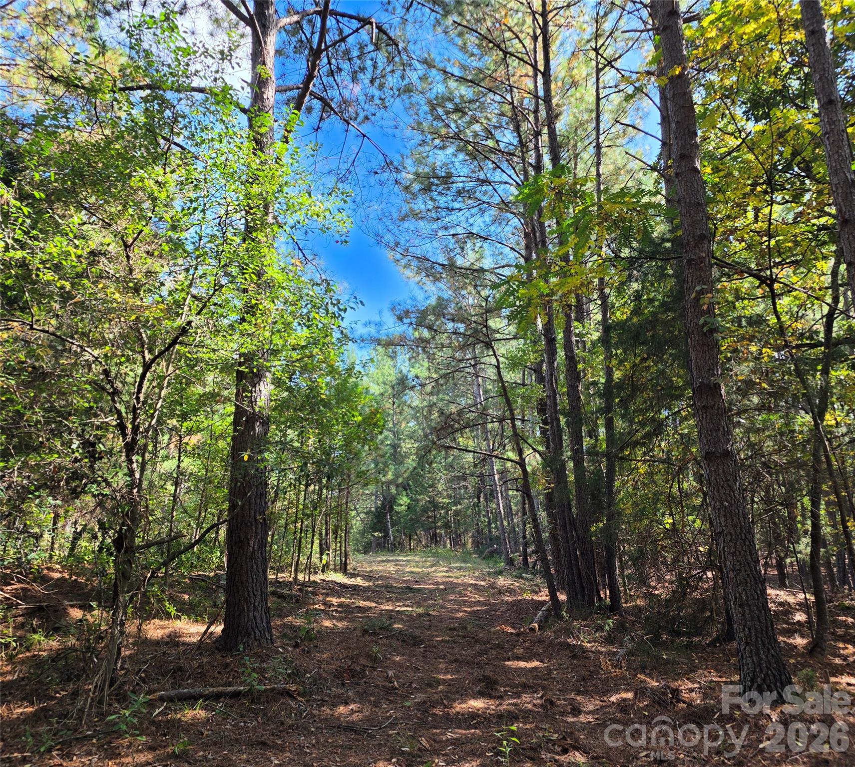 1350 Mcknight Road Property Photo 8