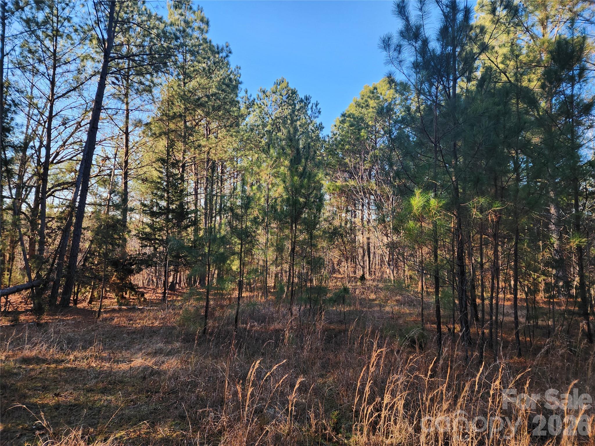 1350 Mcknight Road Property Photo 16