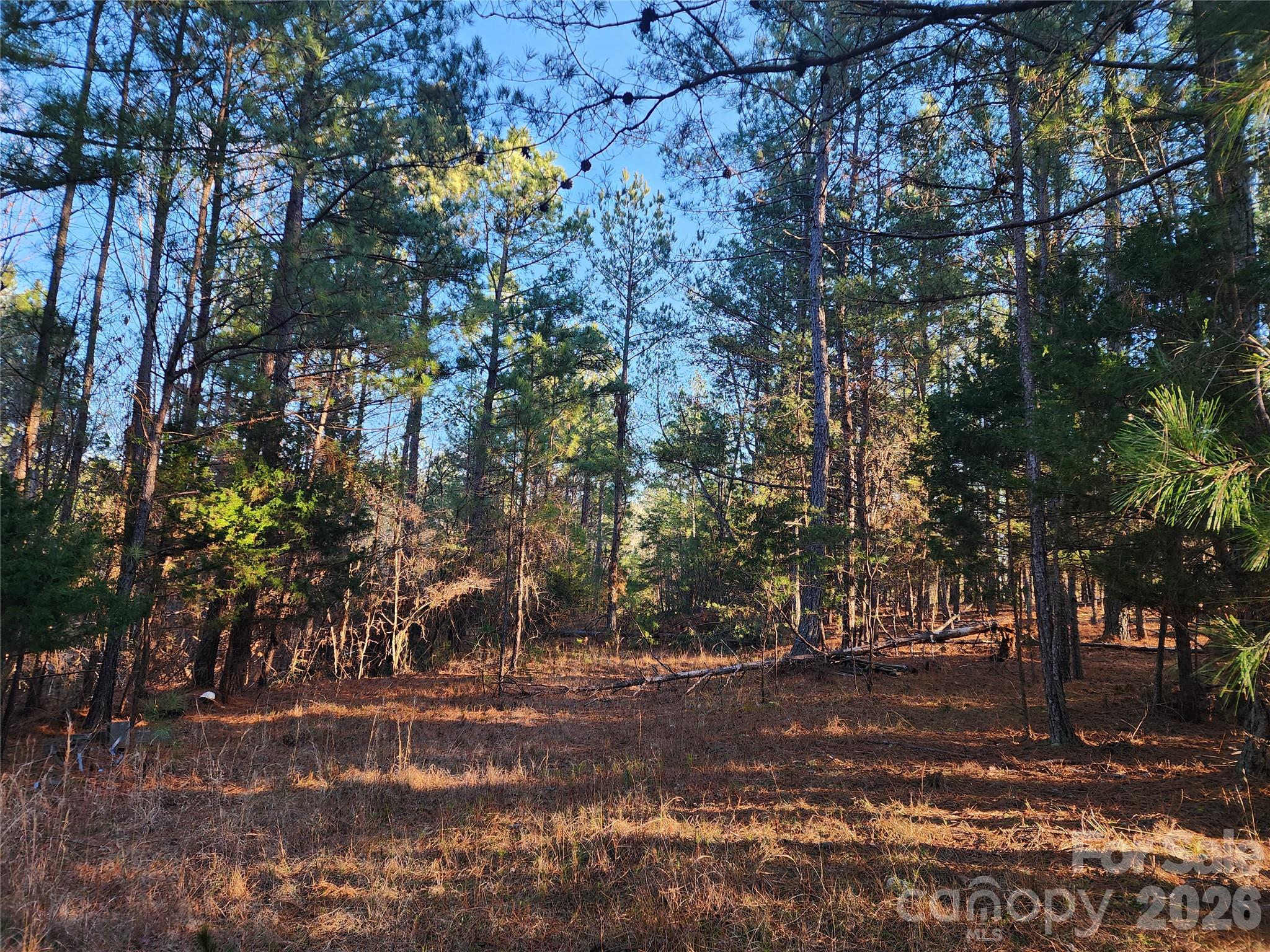 1350 Mcknight Road Property Photo 20
