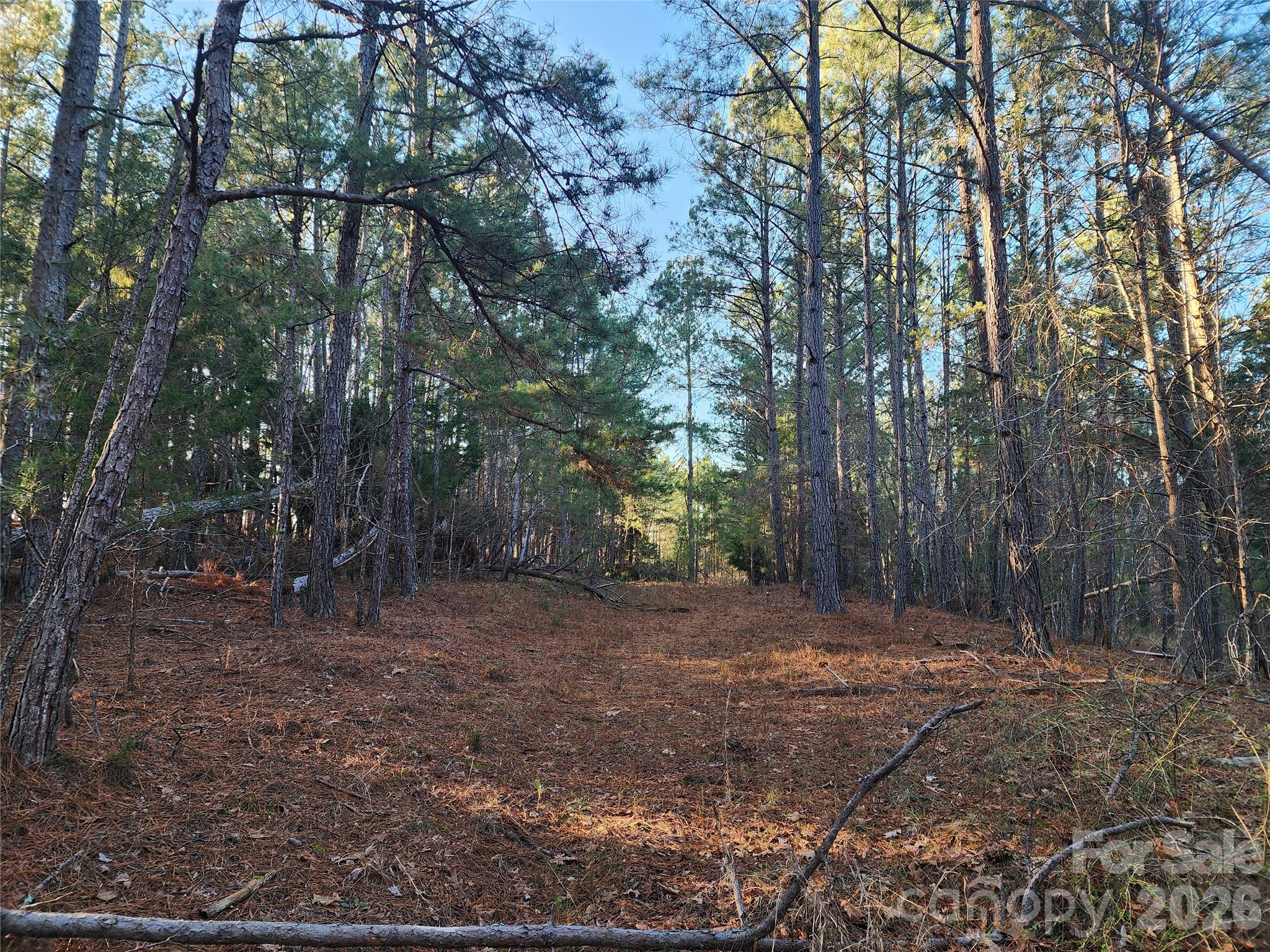 1350 Mcknight Road Property Photo 22