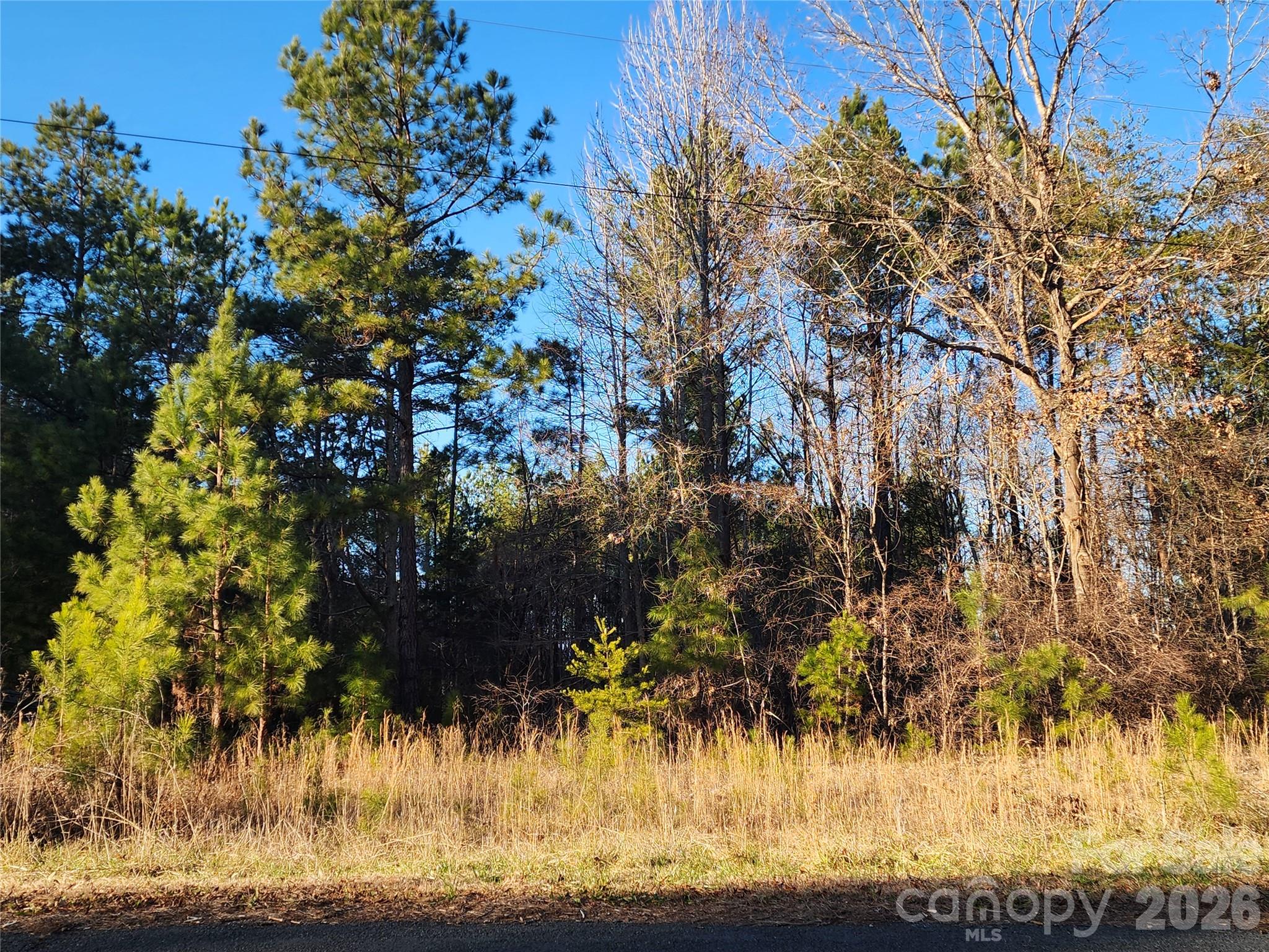 1350 Mcknight Road Property Photo 23