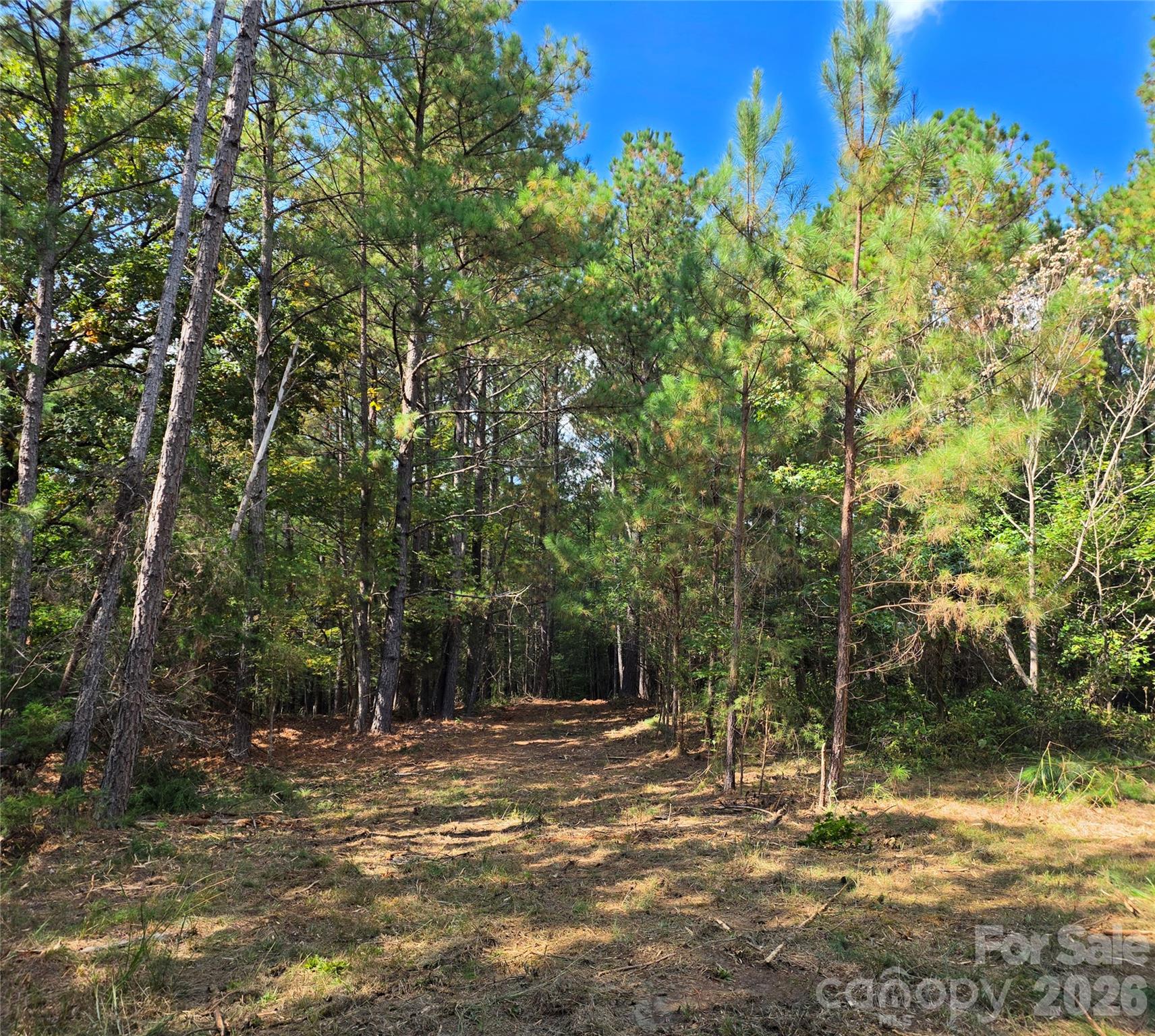 1350 Mcknight Road Property Photo 25