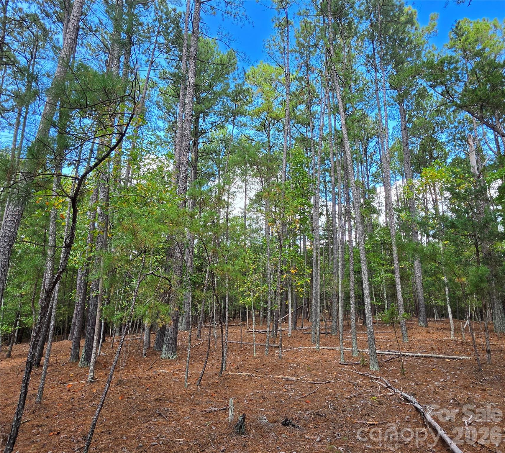 1350 Mcknight Road Property Photo 31