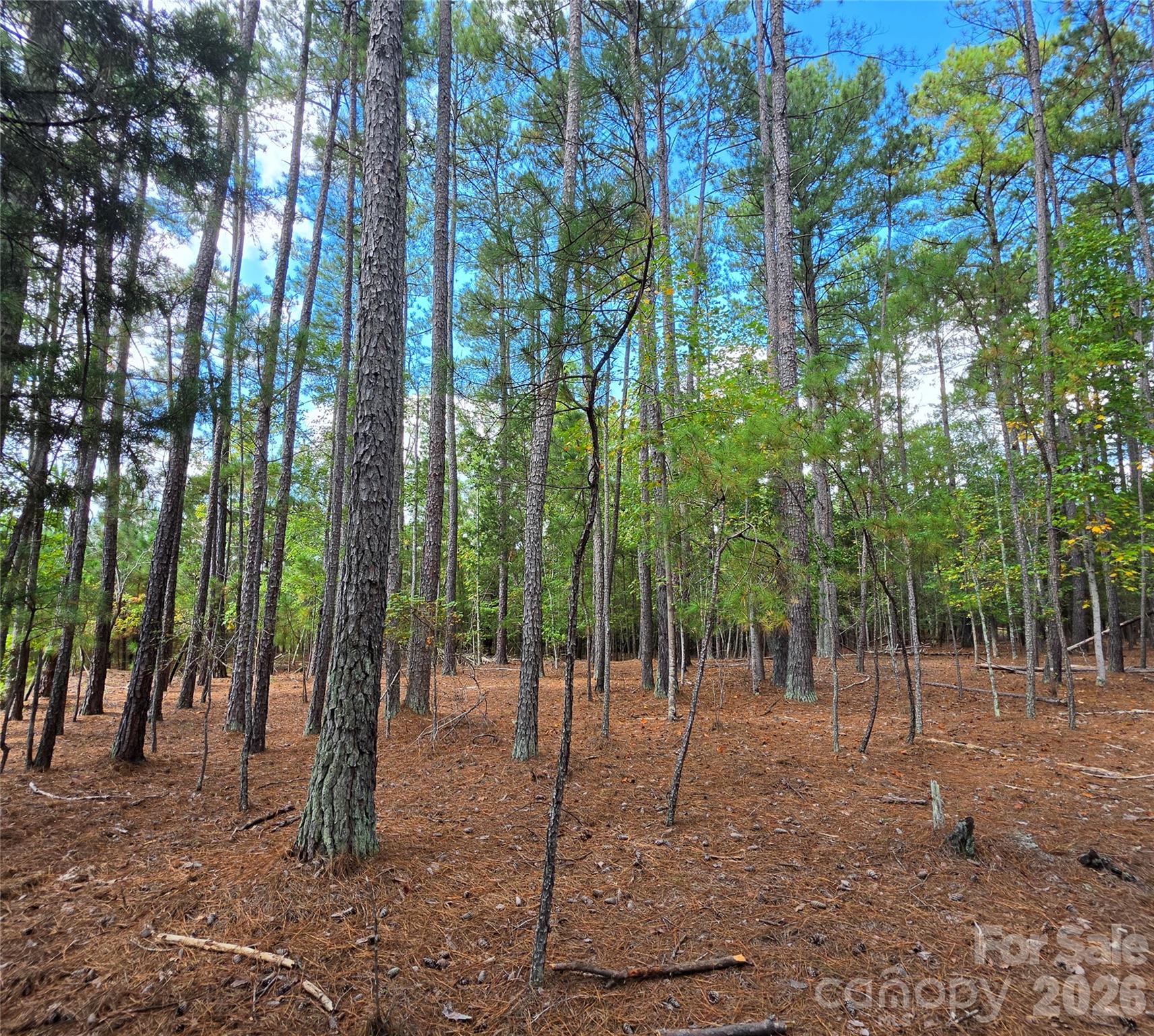 1350 Mcknight Road Property Photo 32