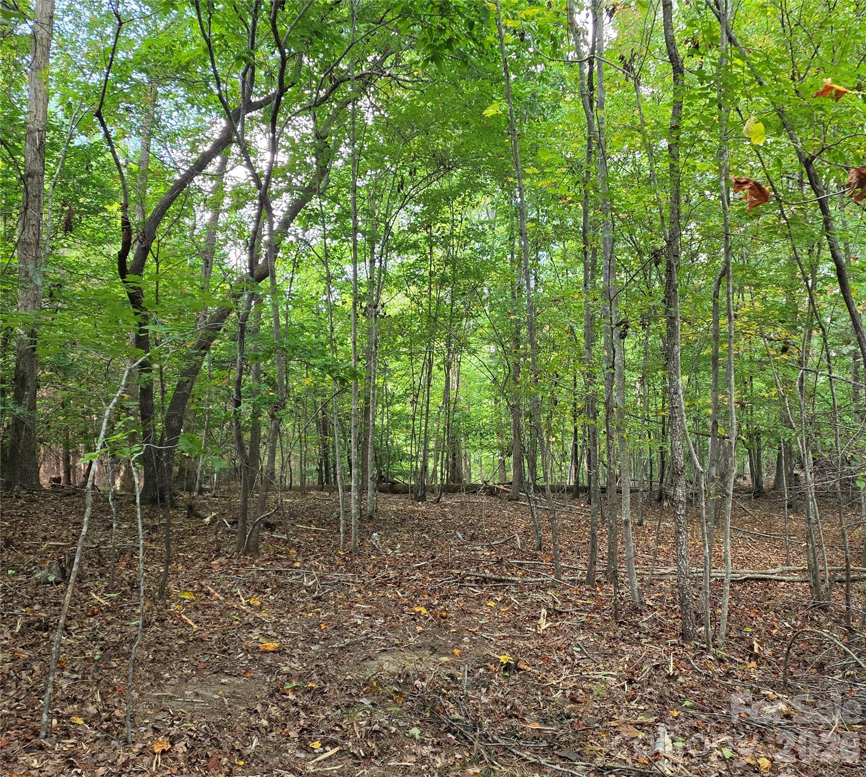 1350 Mcknight Road Property Photo 35