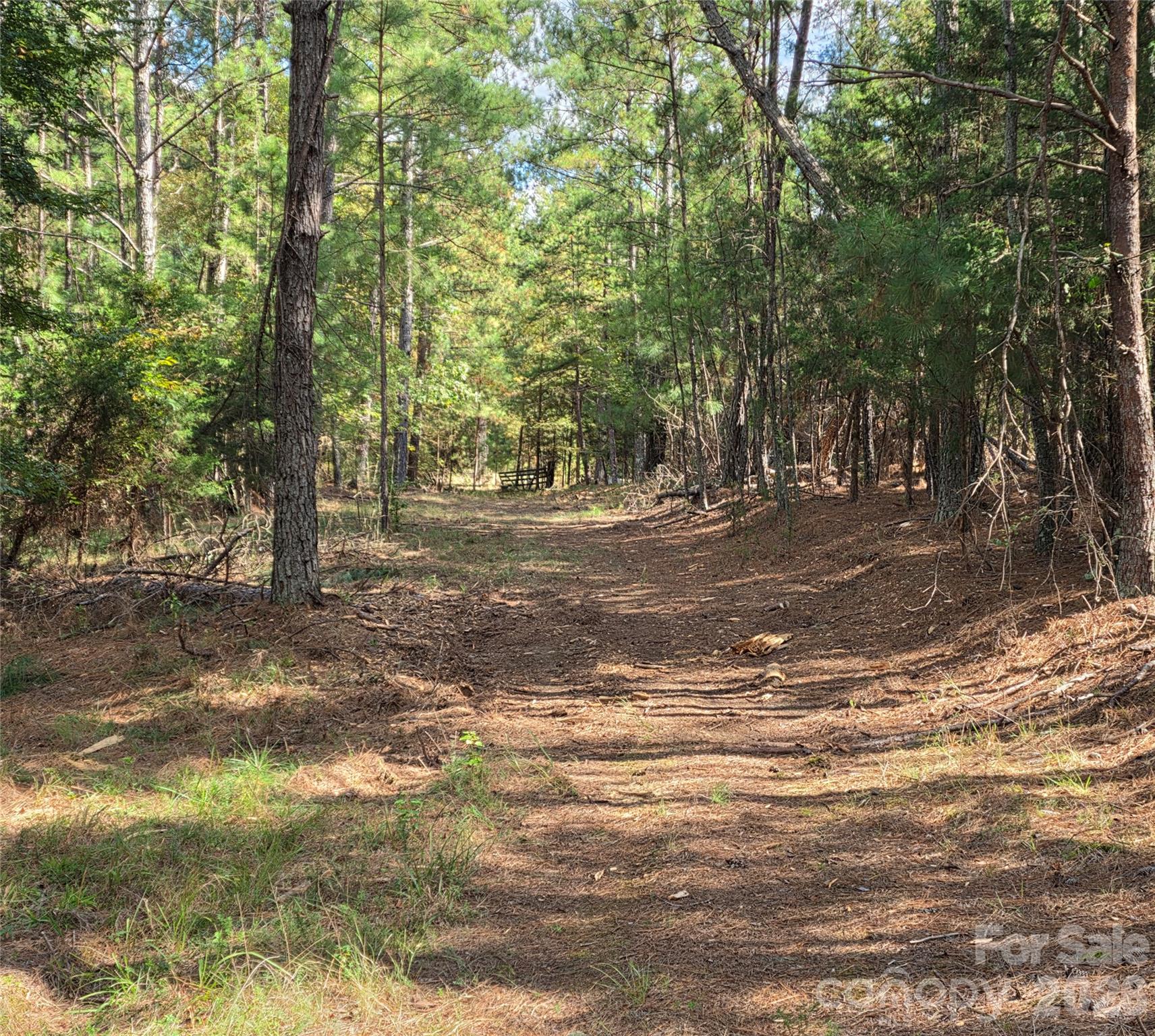 1350 Mcknight Road Property Photo 39