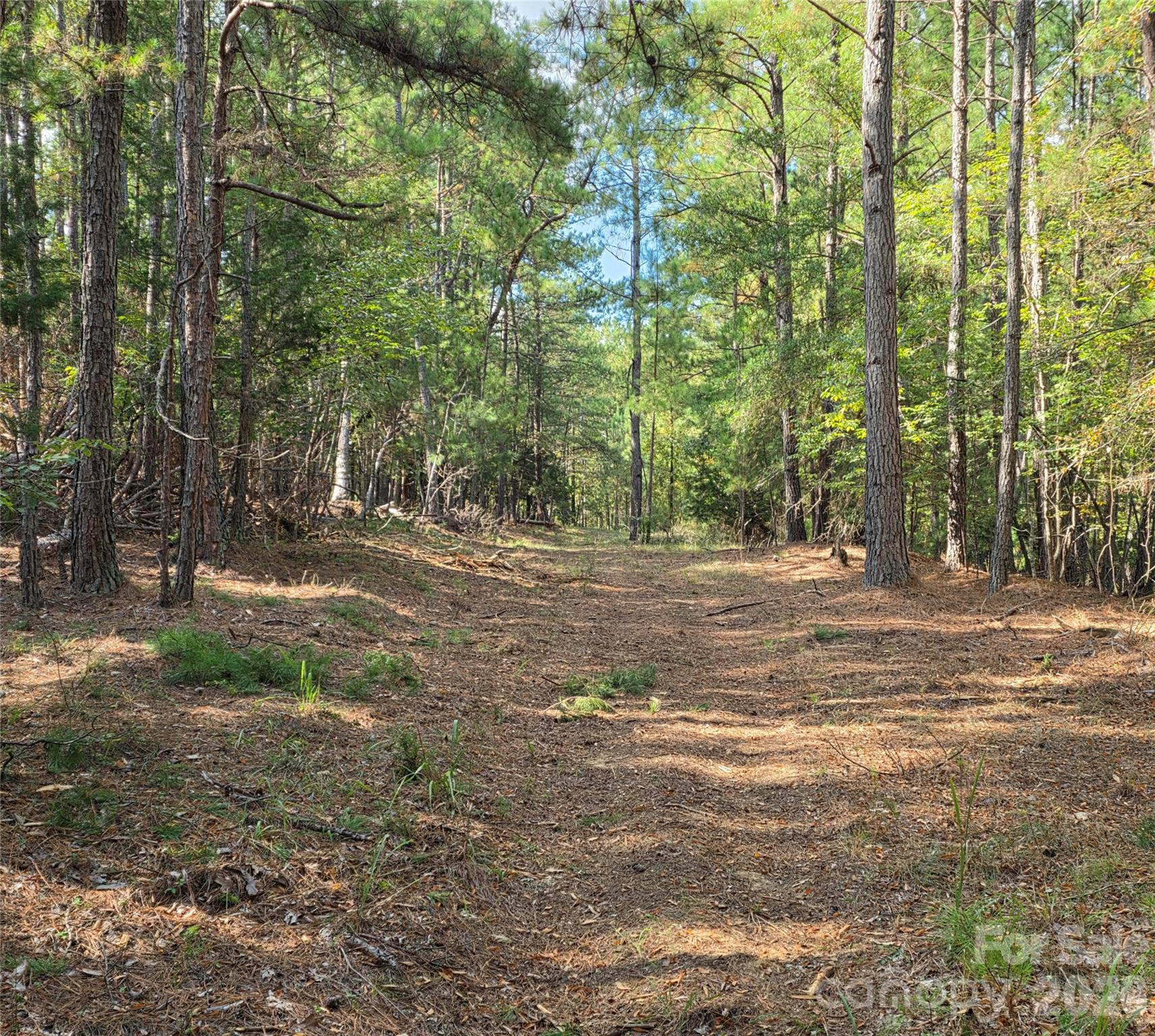1350 Mcknight Road Property Photo 40