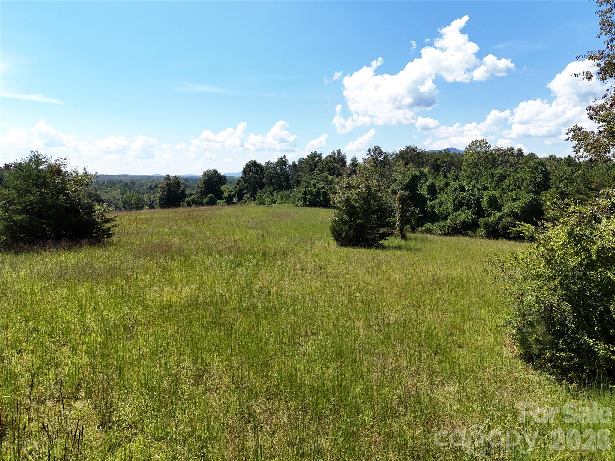 2125 Whiteside Road Property Photo 6