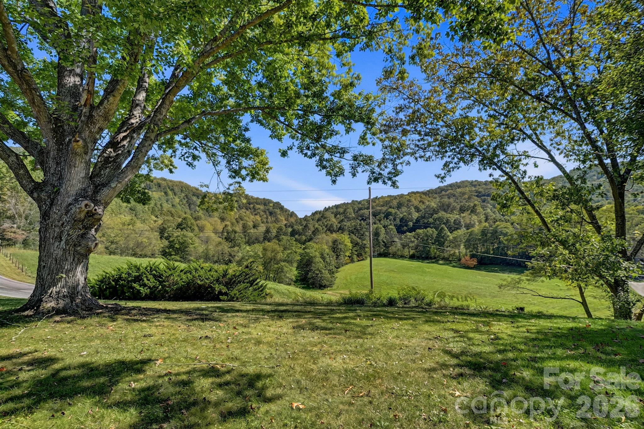 1145 Coleman Mountain Road Property Photo 8