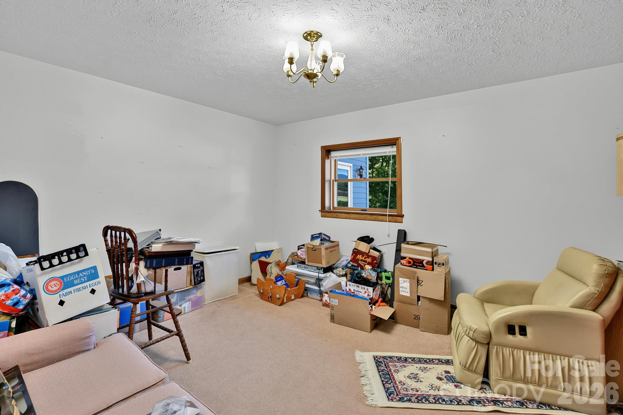 1145 Coleman Mountain Road Property Photo 25