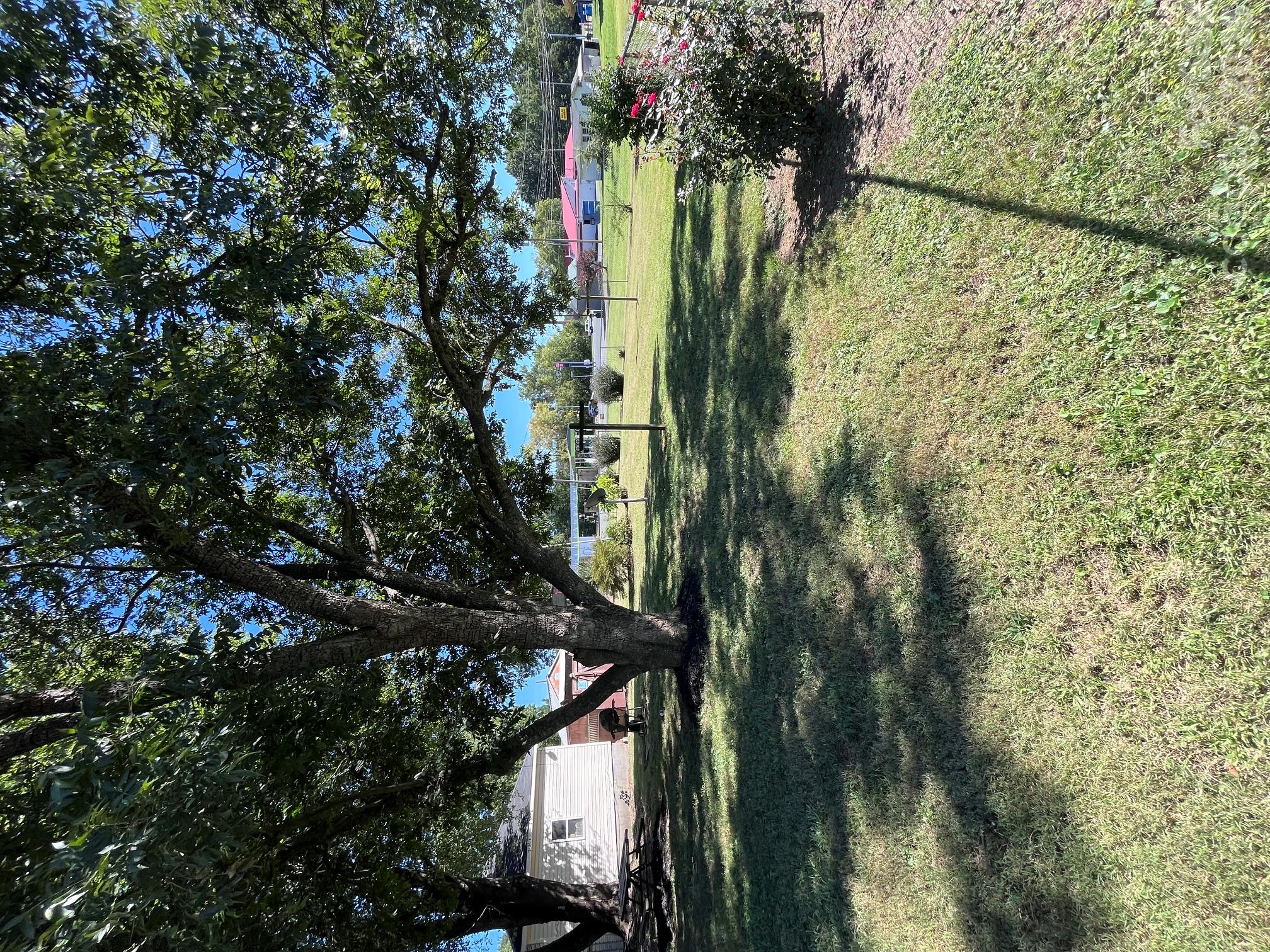 511 W Mason Street Property Photo 6
