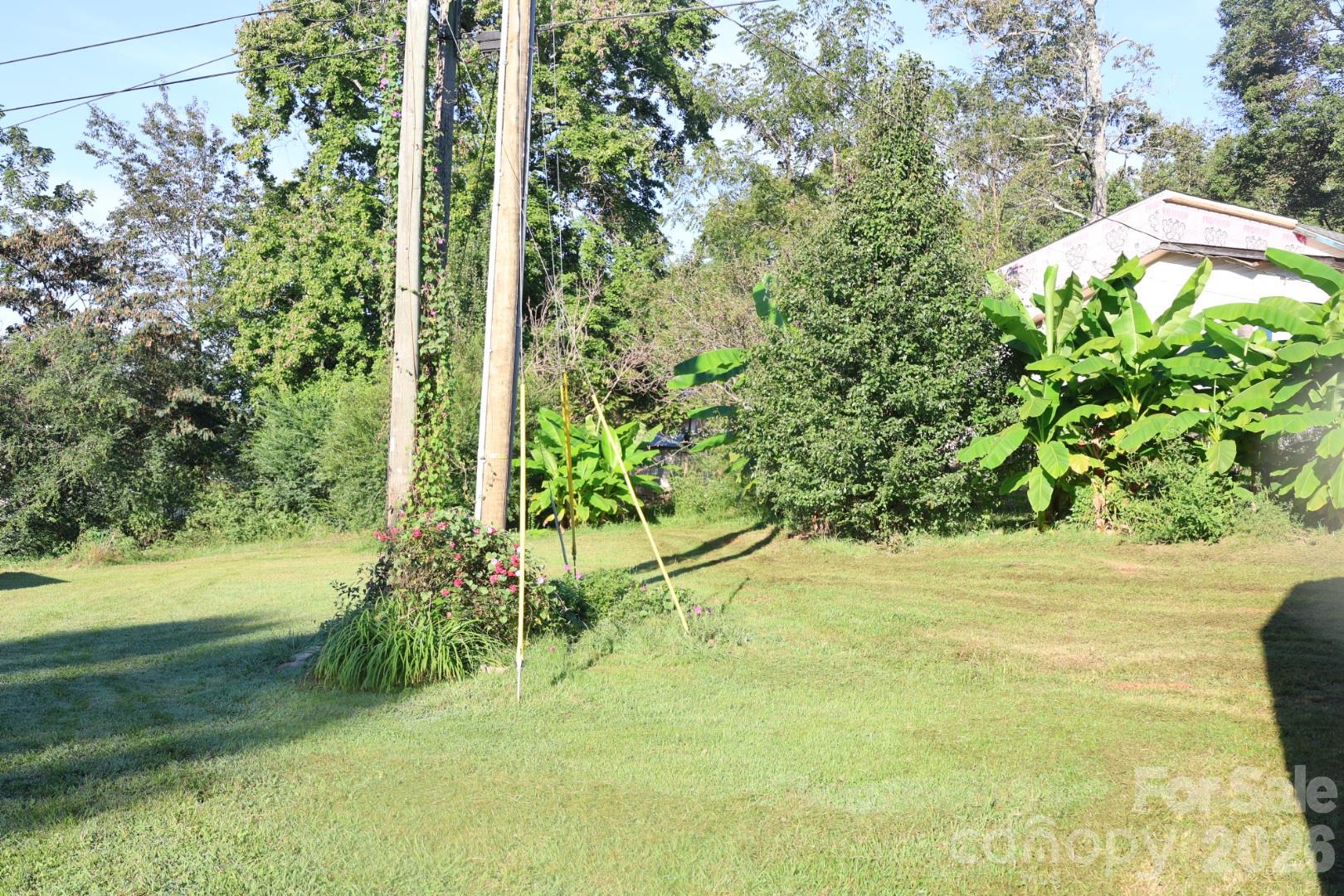 155 Owl Hollow Road Property Photo 2