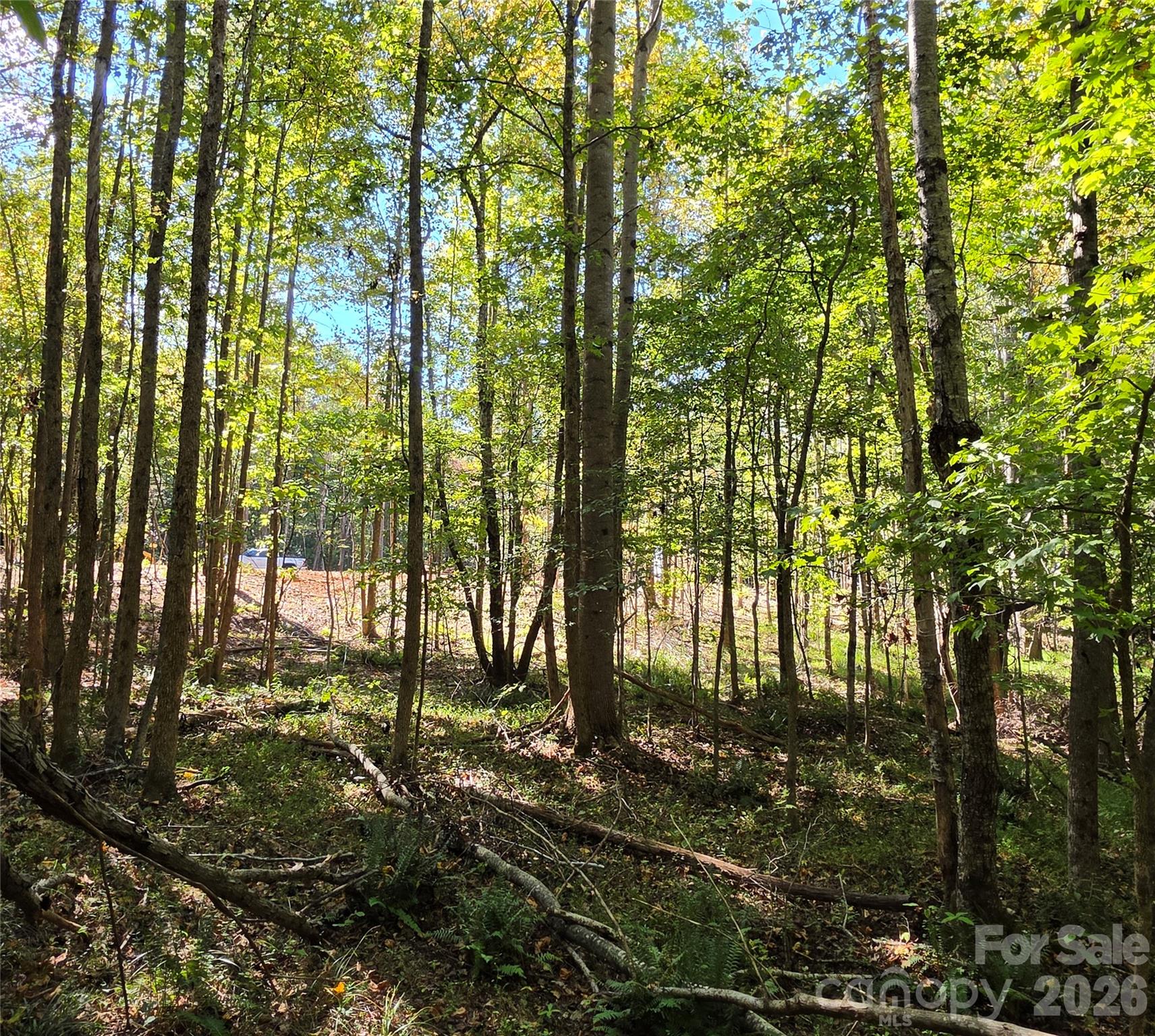 552 Midway Road Property Photo 20