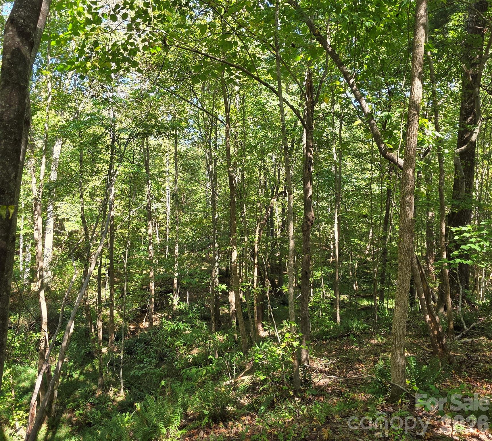 552 Midway Road Property Photo 21