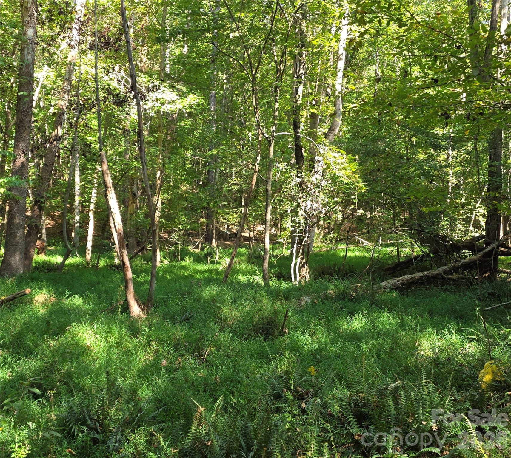 552 Midway Road Property Photo 26