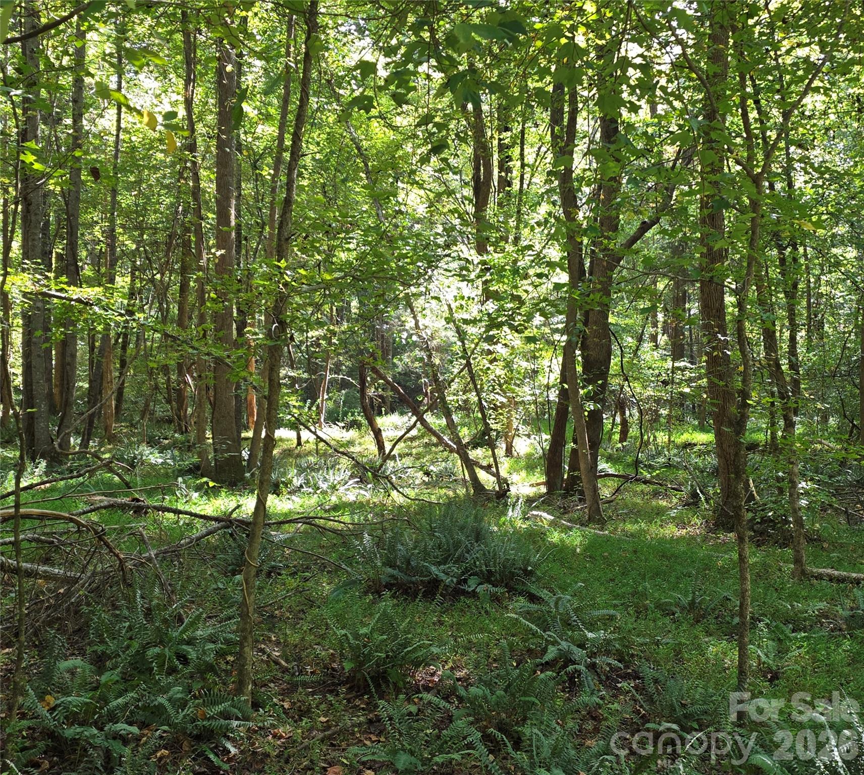 552 Midway Road Property Photo 27