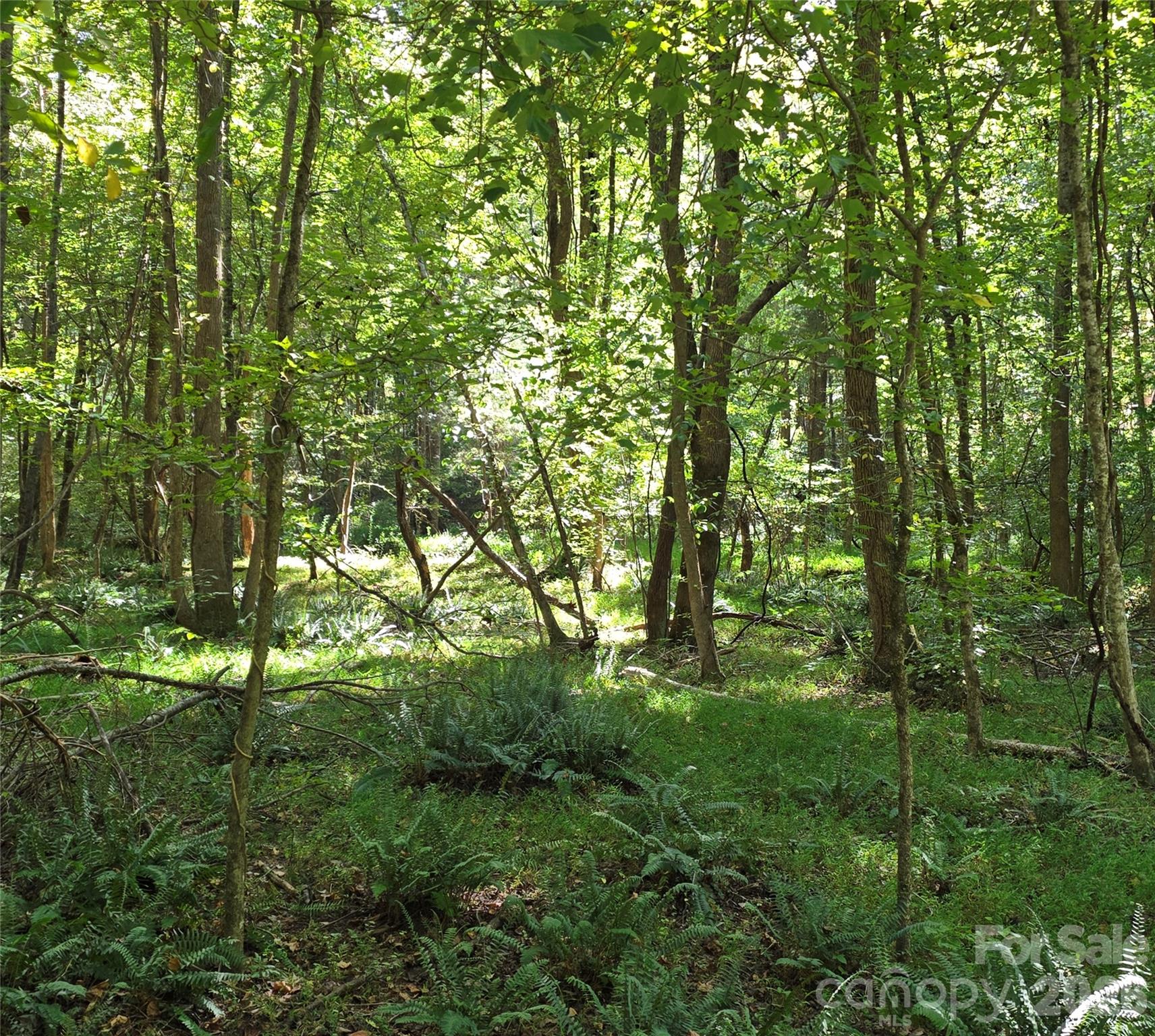 552 Midway Road Property Photo 28