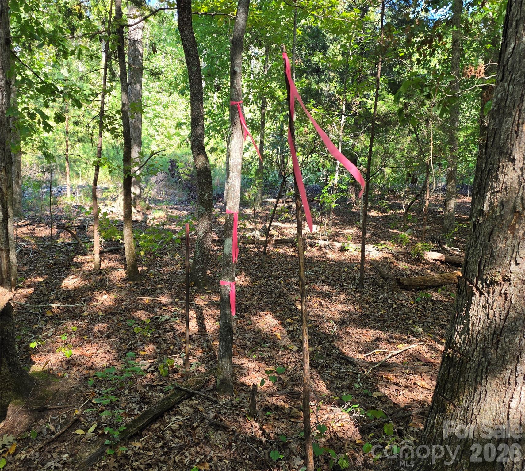 552 Midway Road Property Photo 29