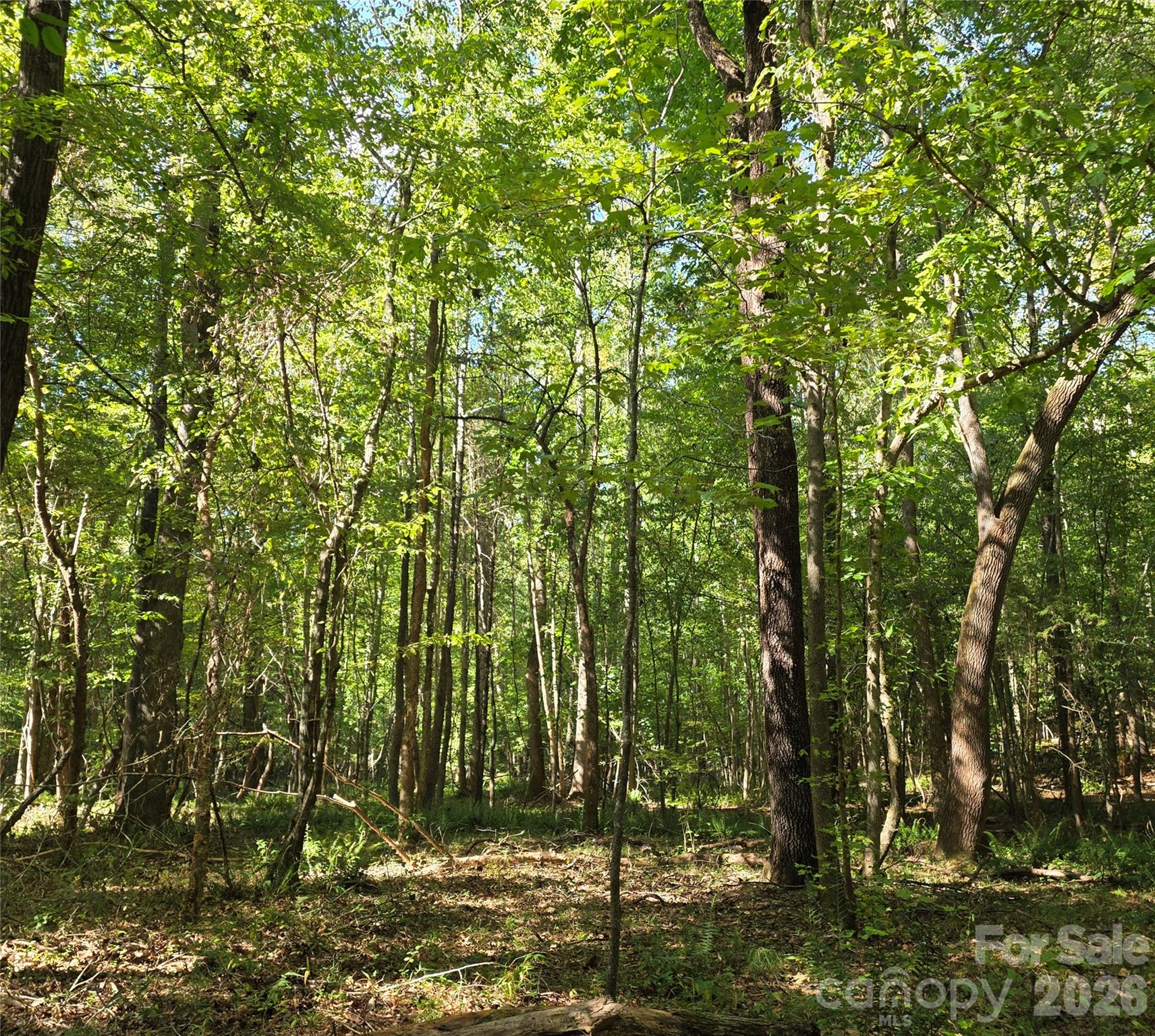 552 Midway Road Property Photo 30